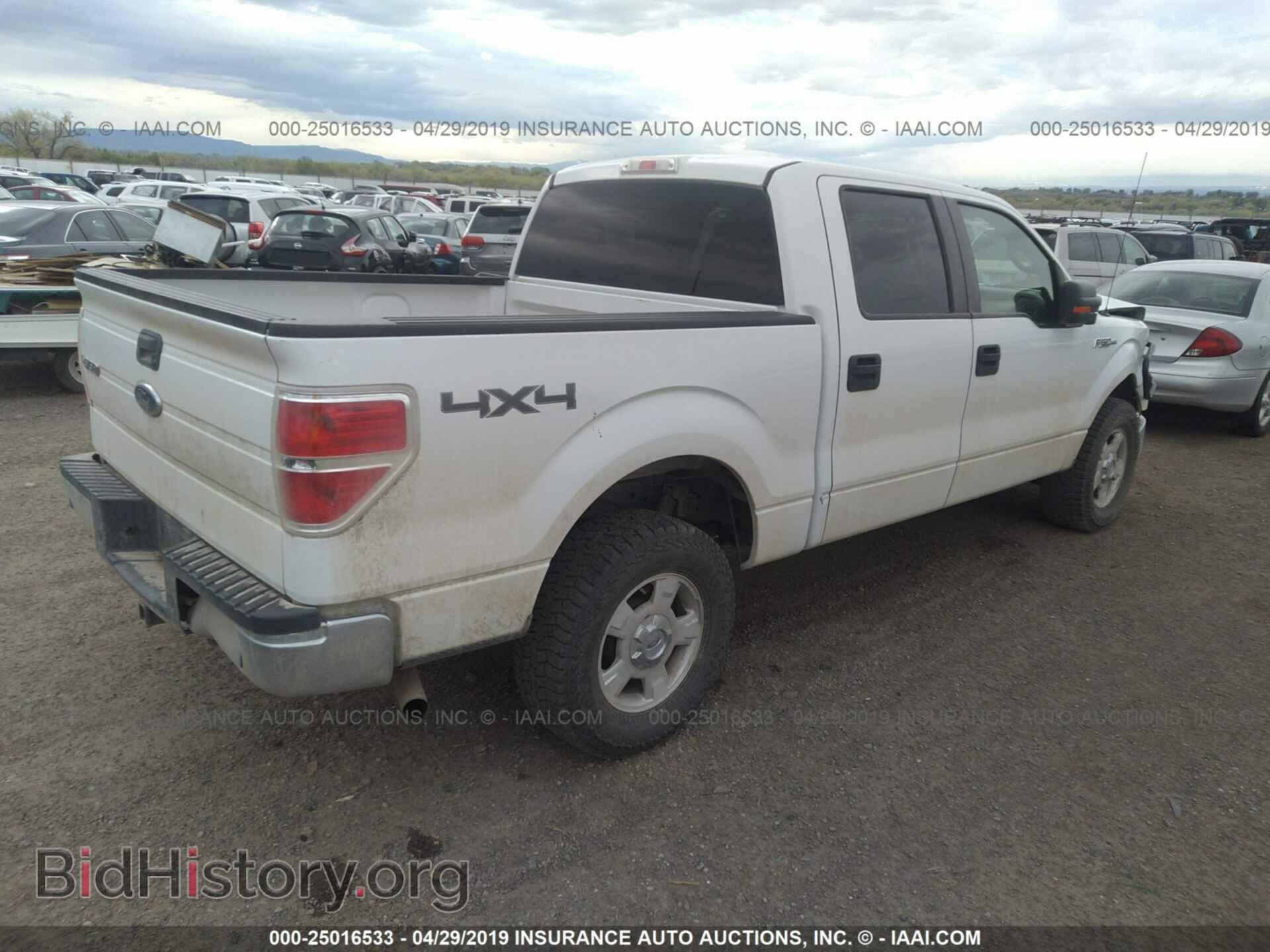 2010 FORD F150 - VIN: 1FTEW1E82AFD05264 - Фото 4