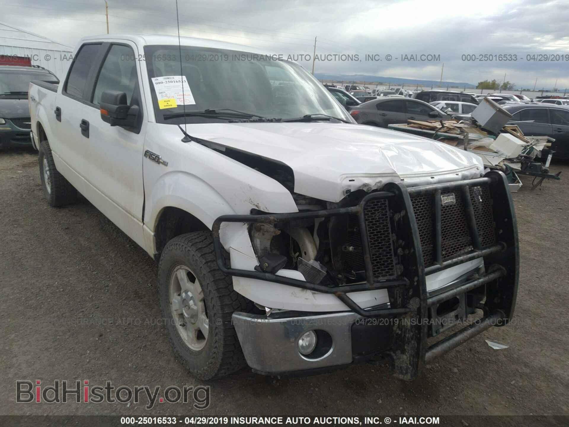2010 FORD F150 - VIN: 1FTEW1E82AFD05264 - Фото 6