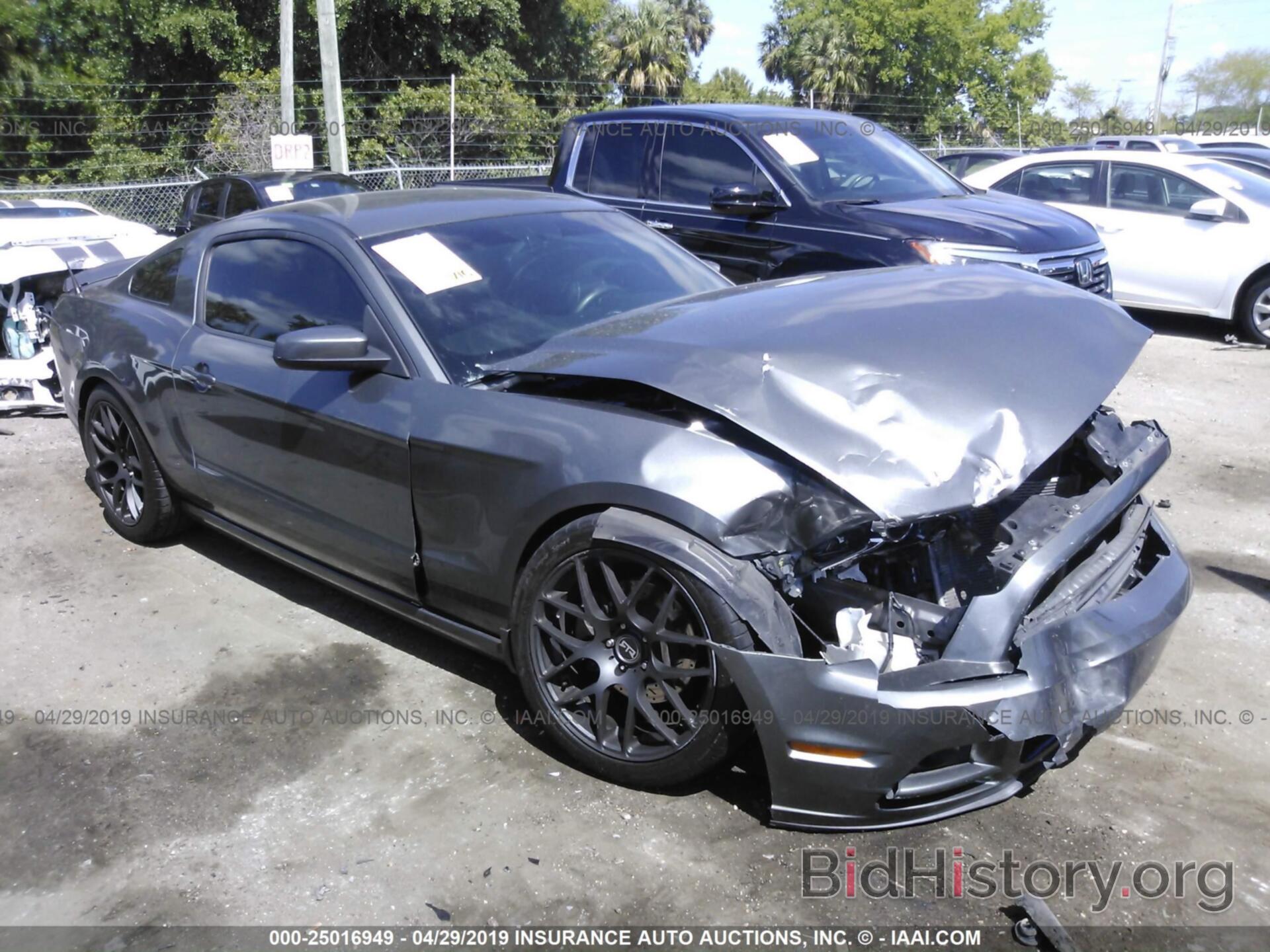Photo 1ZVBP8AM1D5220564 - FORD MUSTANG 2013