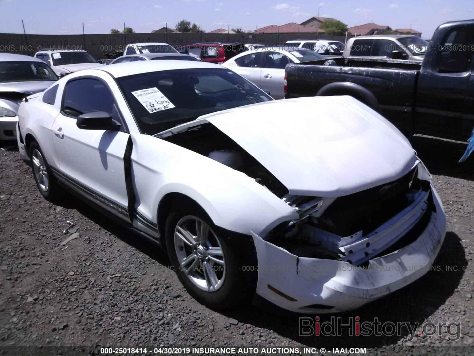 Photo 1ZVBP8AMXC5281801 - FORD MUSTANG 2012