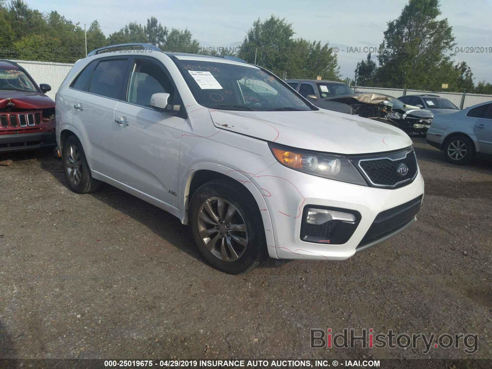 Photo 5XYKWDA26BG176238 - KIA SORENTO 2011