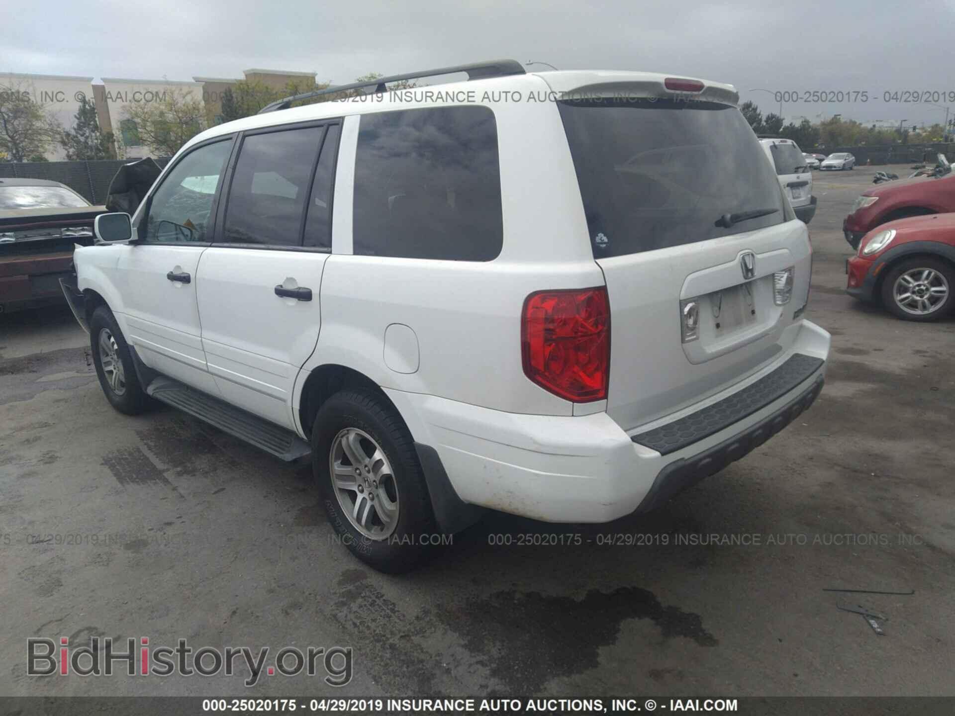 2005 HONDA PILOT - VIN: 5FNYF184X5B047754 - Фото 3