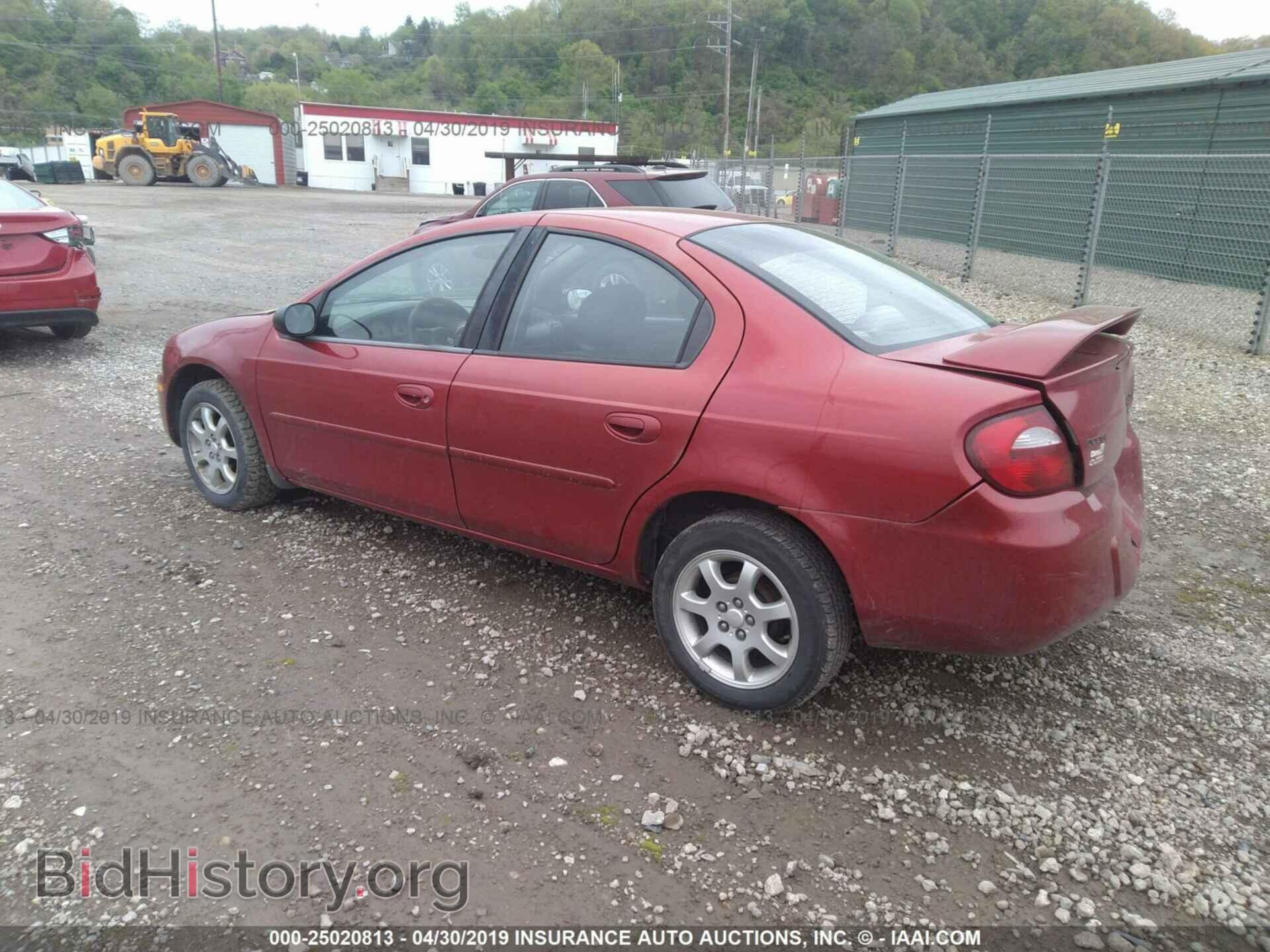 2005 DODGE NEON - VIN: 1B3ES56C45D281669 - Фото 3
