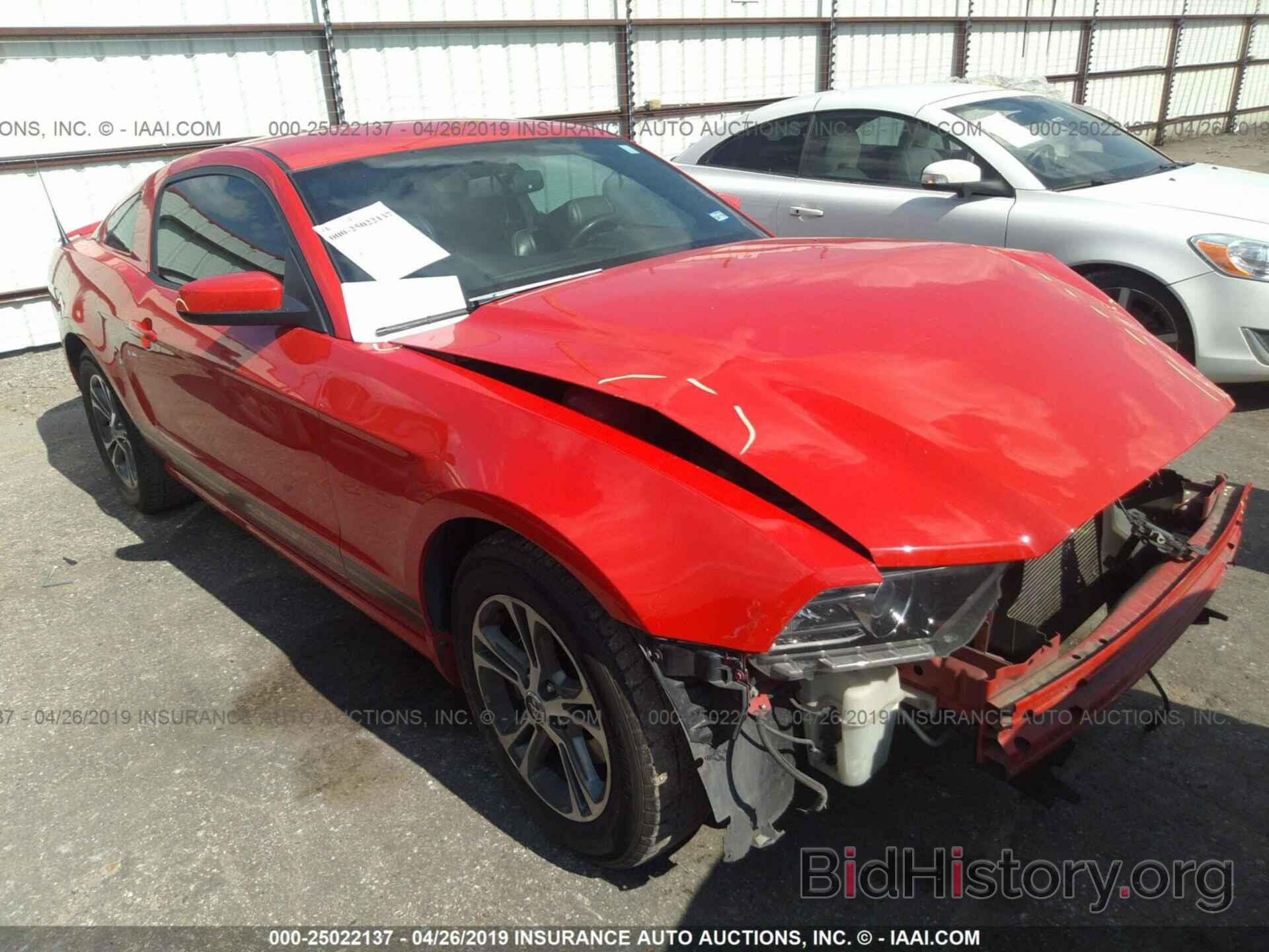 Photo 1ZVBP8AM1E5210697 - FORD MUSTANG 2014