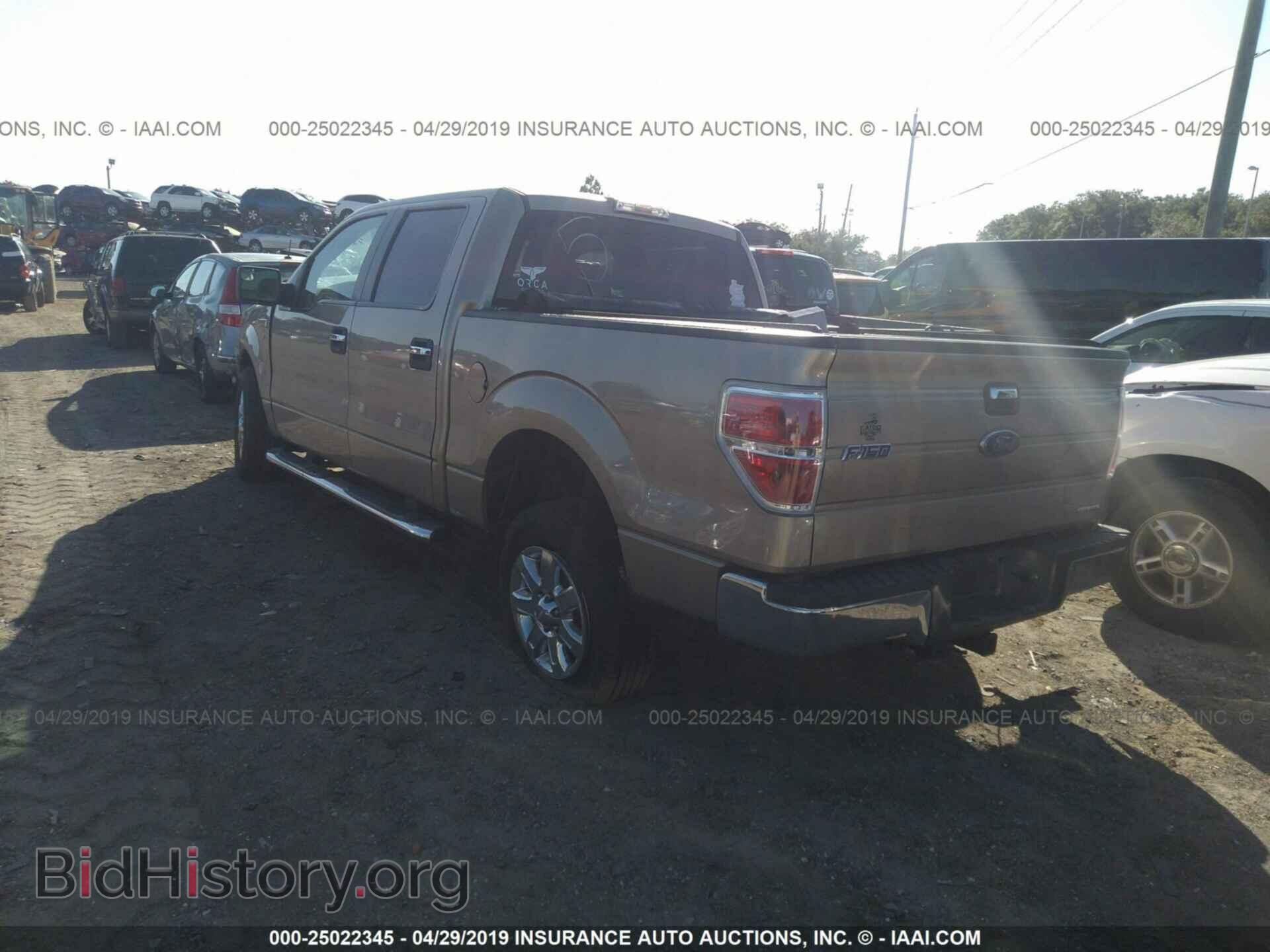 2013 FORD F150 - VIN: 1FTFW1CF9DFA99693 - Фото 3