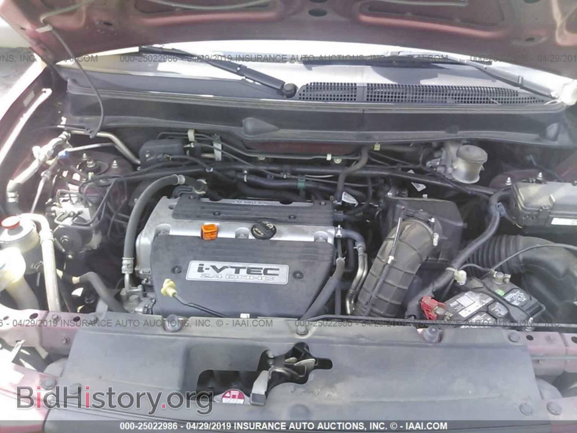 2007 HONDA ELEMENT - VIN: 5J6YH28737L007262 - Фото 10