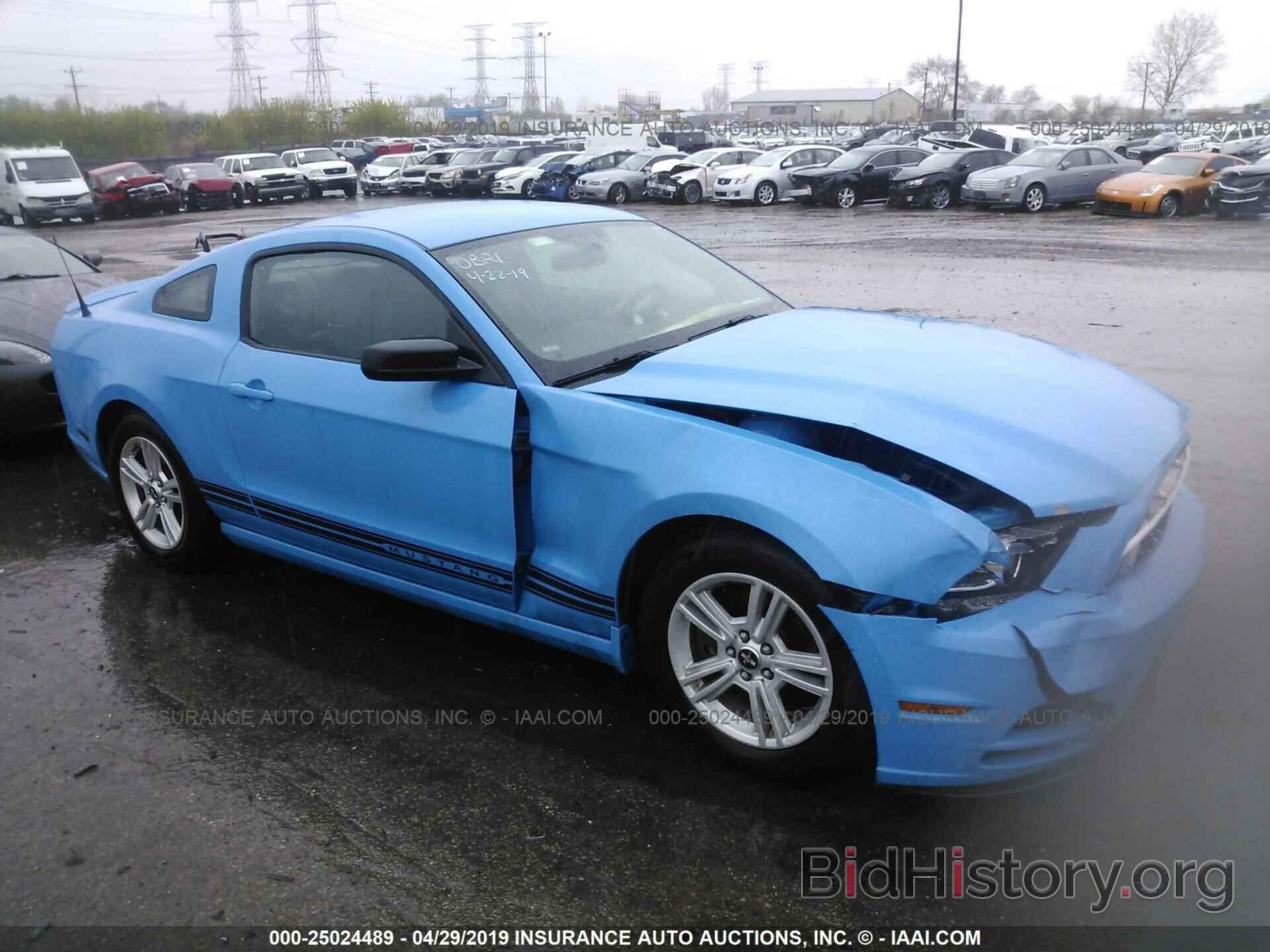 Фотография 1ZVBP8AM7D5281594 - FORD MUSTANG 2013