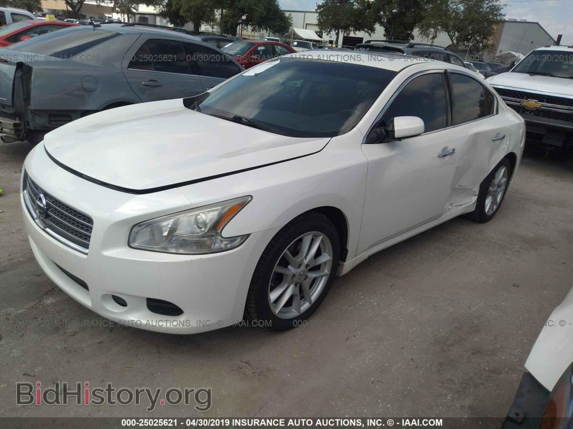 2009 NISSAN MAXIMA - VIN: 1N4AA51E79C848564 - Фото 2