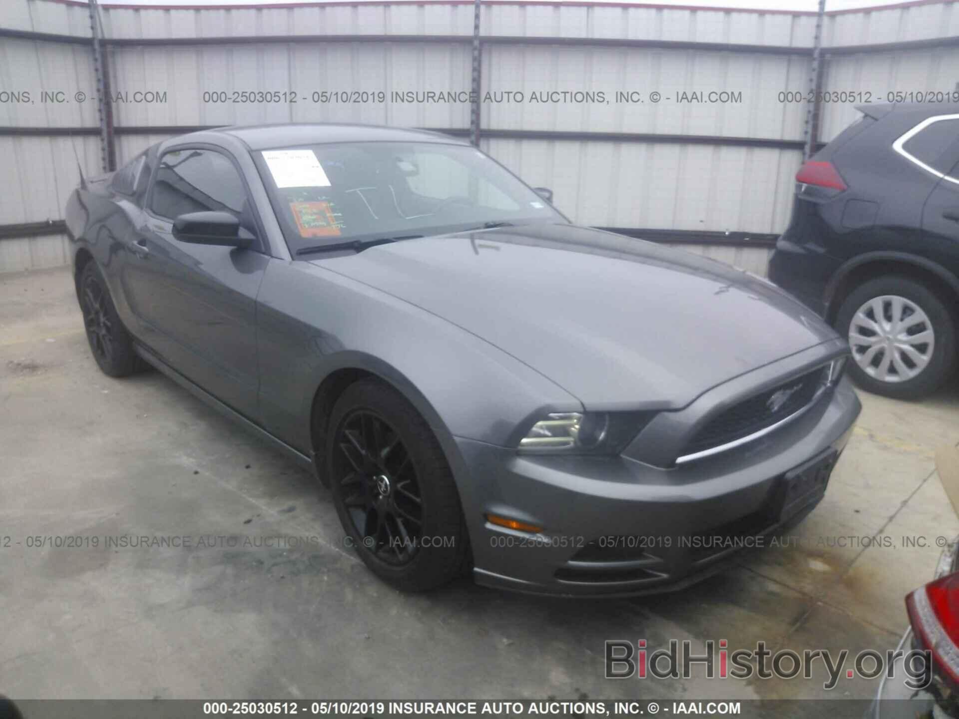 Photo 1ZVBP8AM4E5215134 - FORD MUSTANG 2014