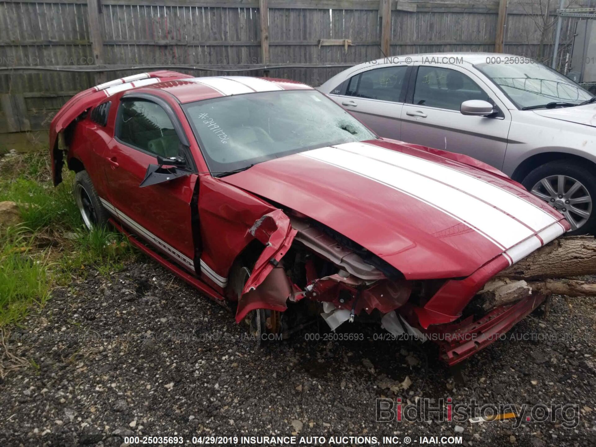Photo 1ZVBP8AM6D5204165 - FORD MUSTANG 2013