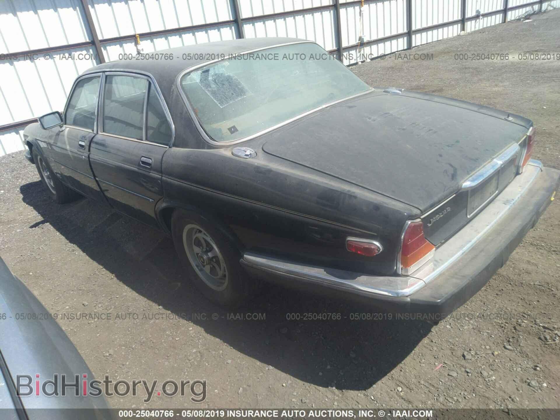 1984 JAGUAR XJ6 - VIN: SAJAV1345EC372046 - Фото 3