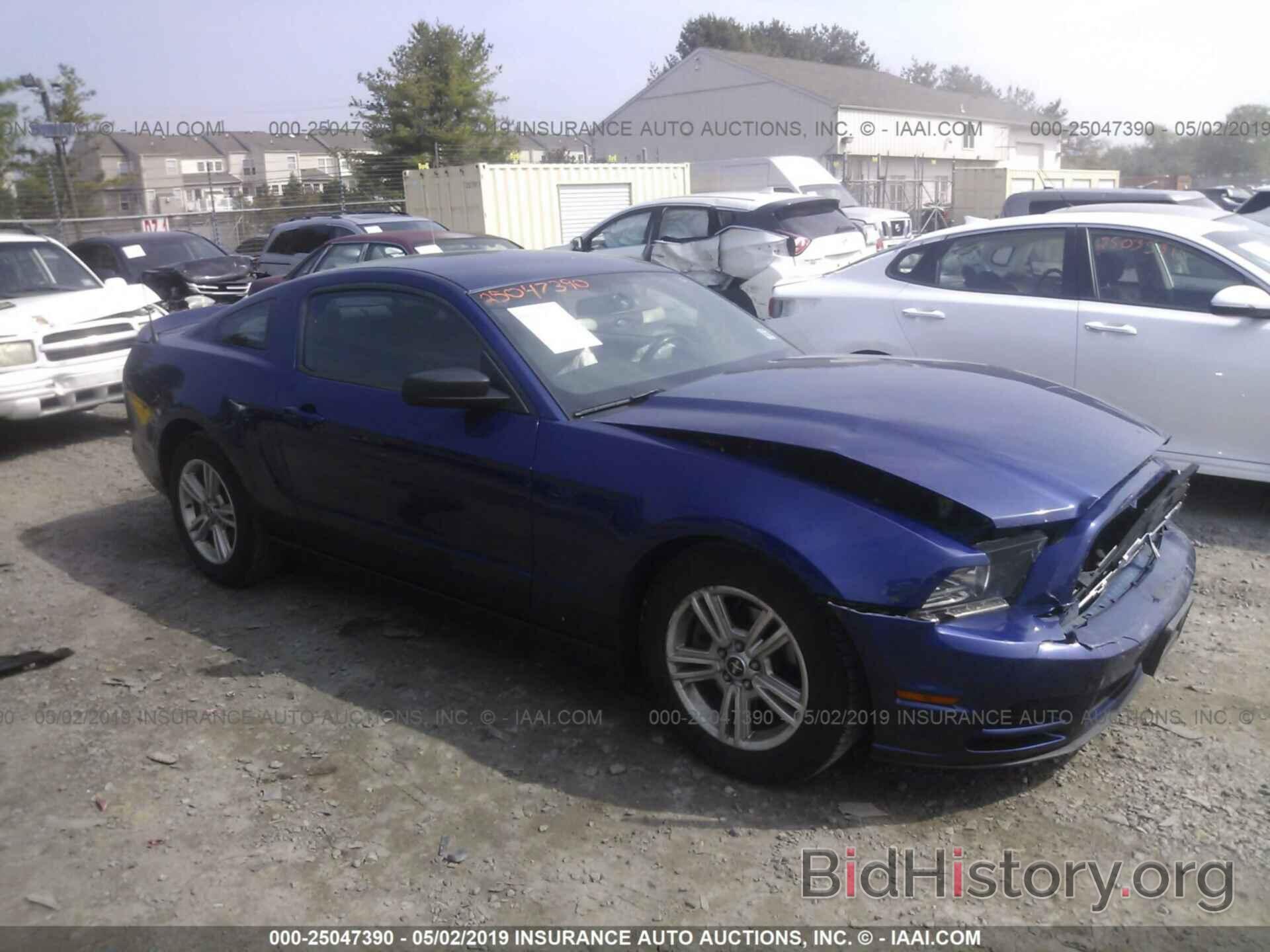 Photo 1ZVBP8AM9E5297796 - FORD MUSTANG 2014