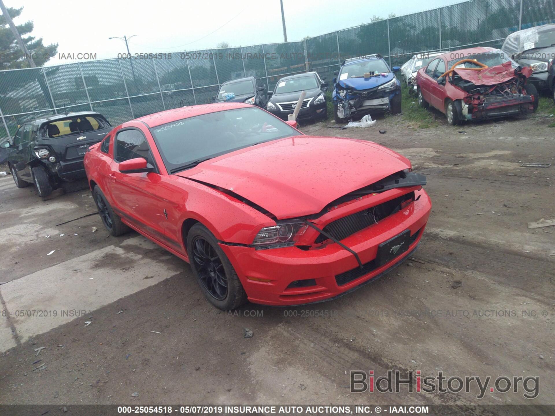 Photo 1ZVBP8AM9D5238312 - FORD MUSTANG 2013