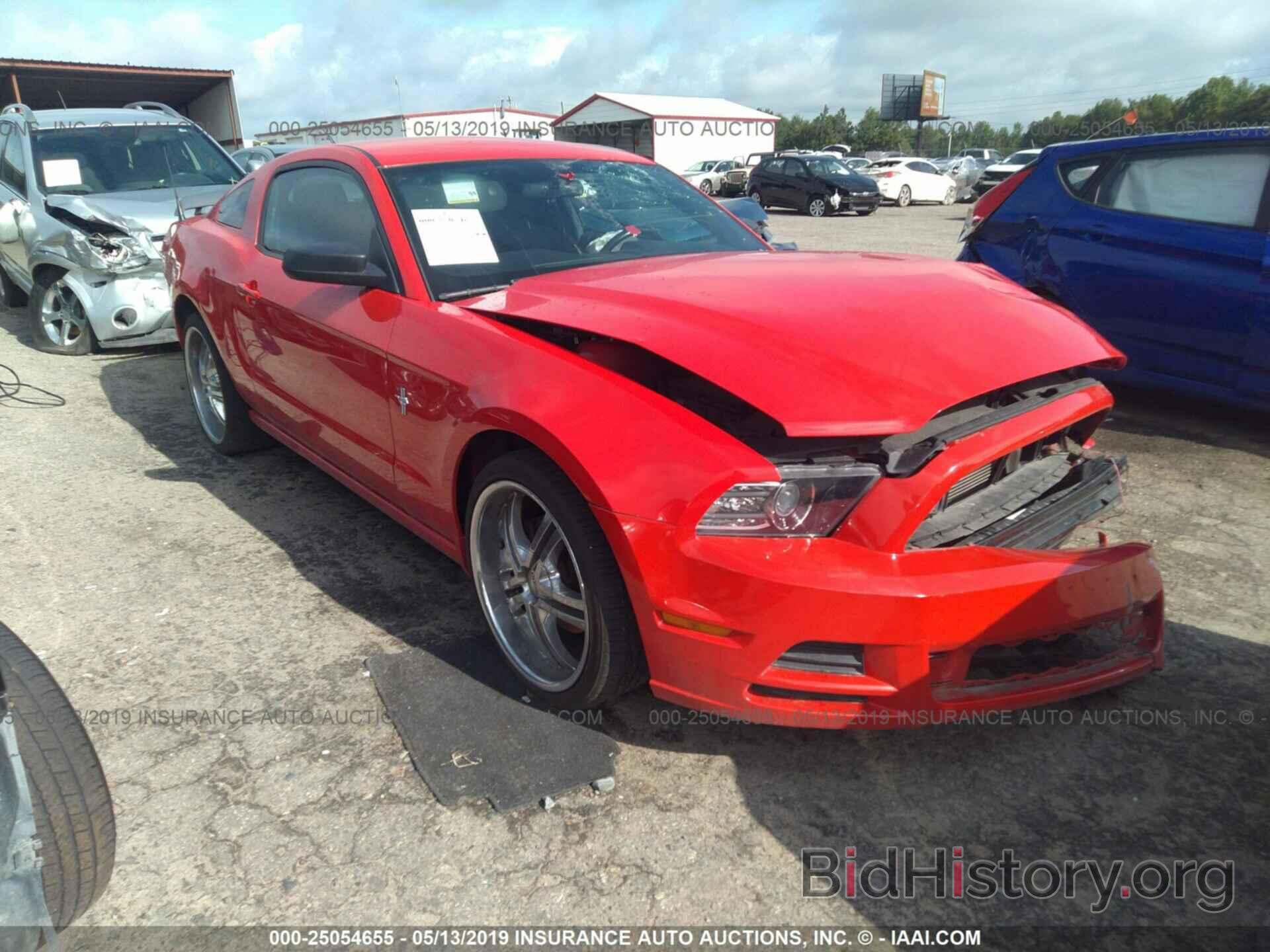 Photo 1ZVBP8AM1E5297310 - FORD MUSTANG 2014
