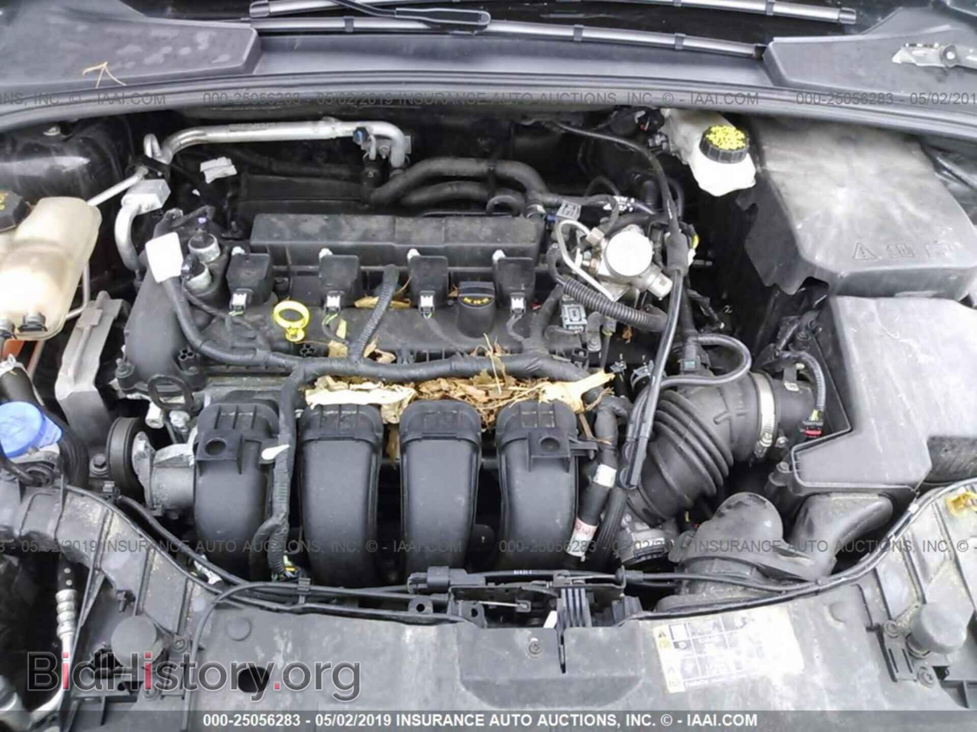 2017 FORD FOCUS - VIN: 1FADP3N22HL345099 - Фото 10
