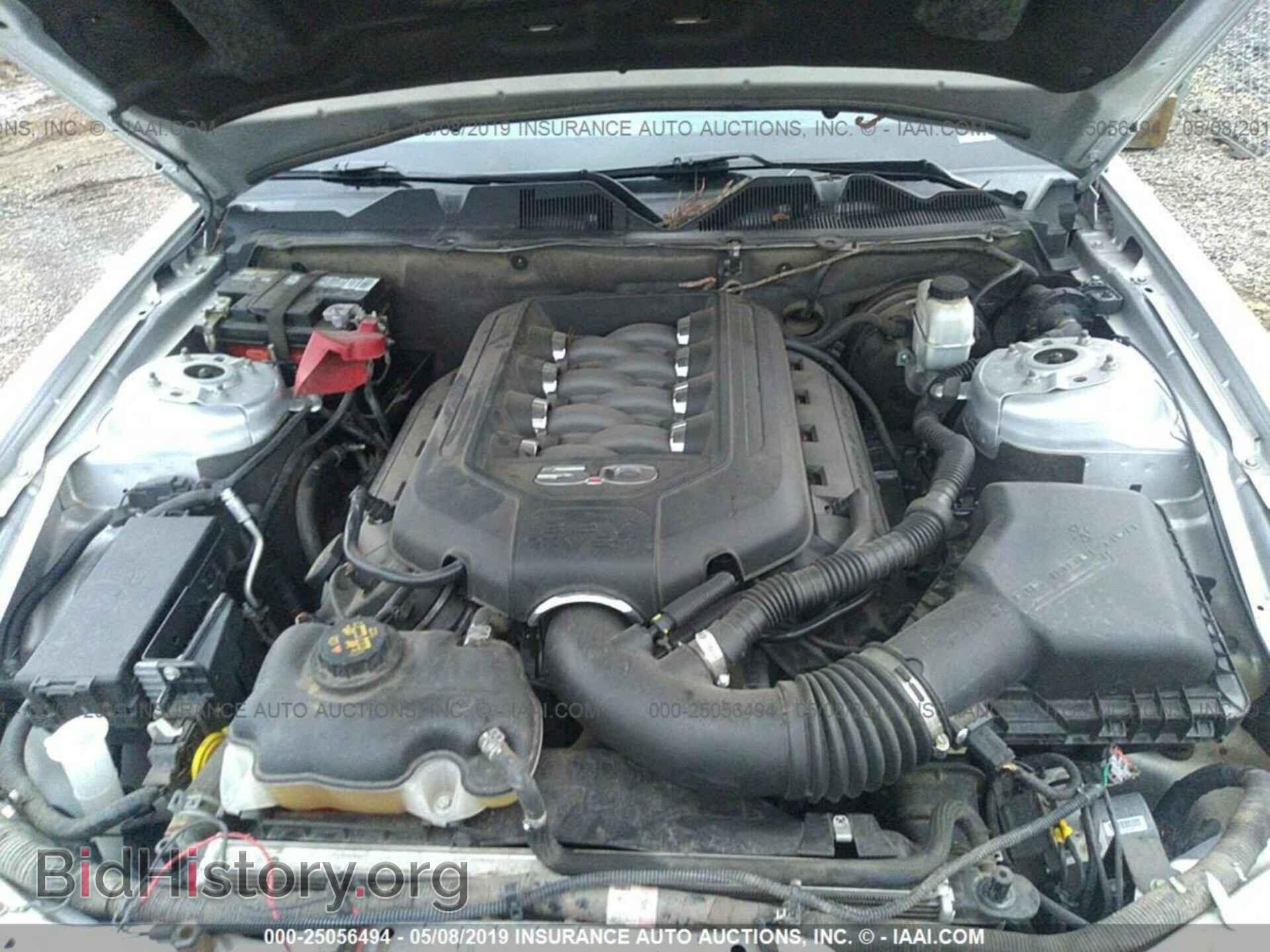 2013 FORD MUSTANG - VIN: 1ZVBP8CF6D5209574 - Фото 10