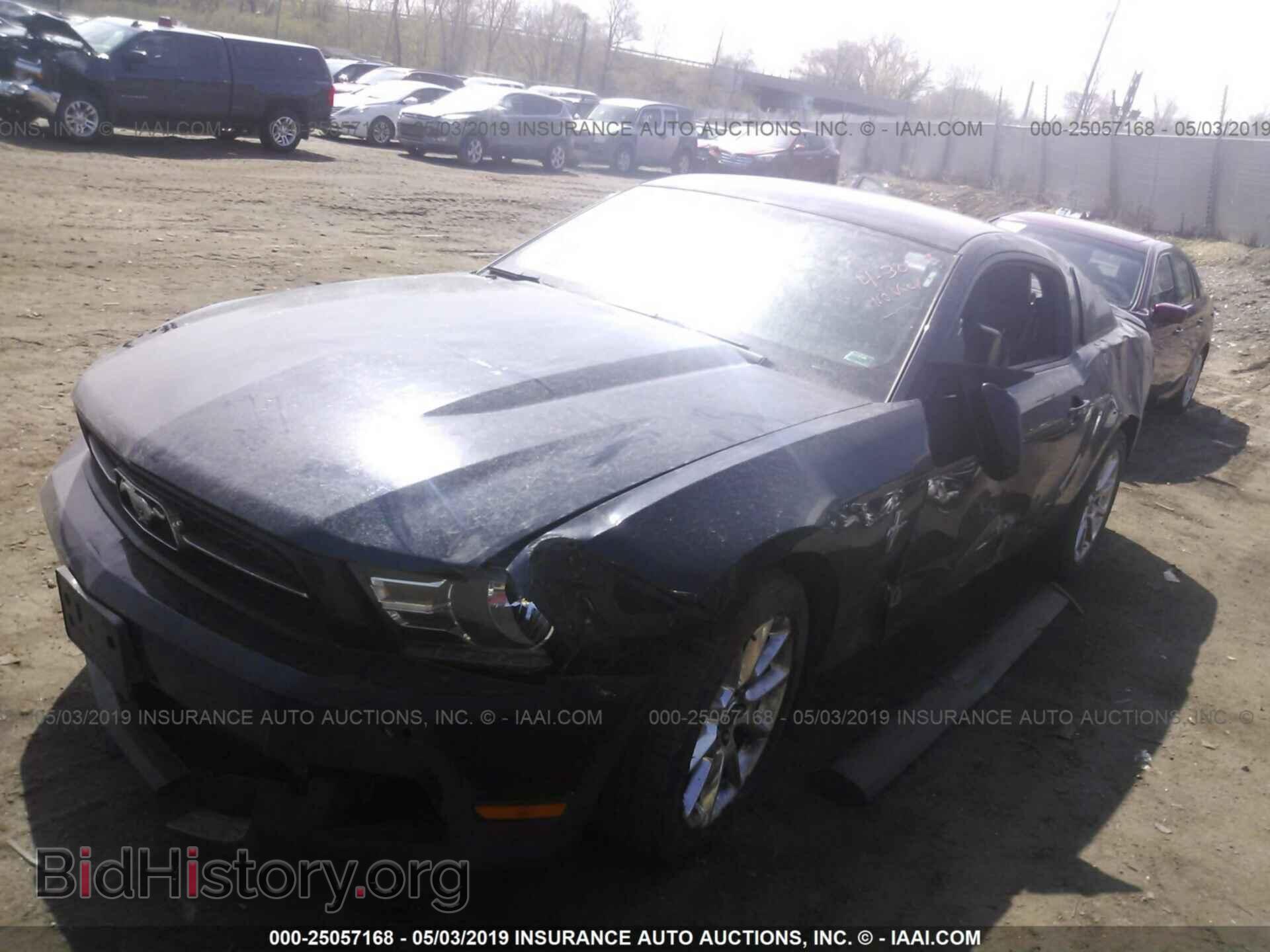 2011 FORD MUSTANG - VIN: 1ZVBP8AM6B5101910 - Фото 2