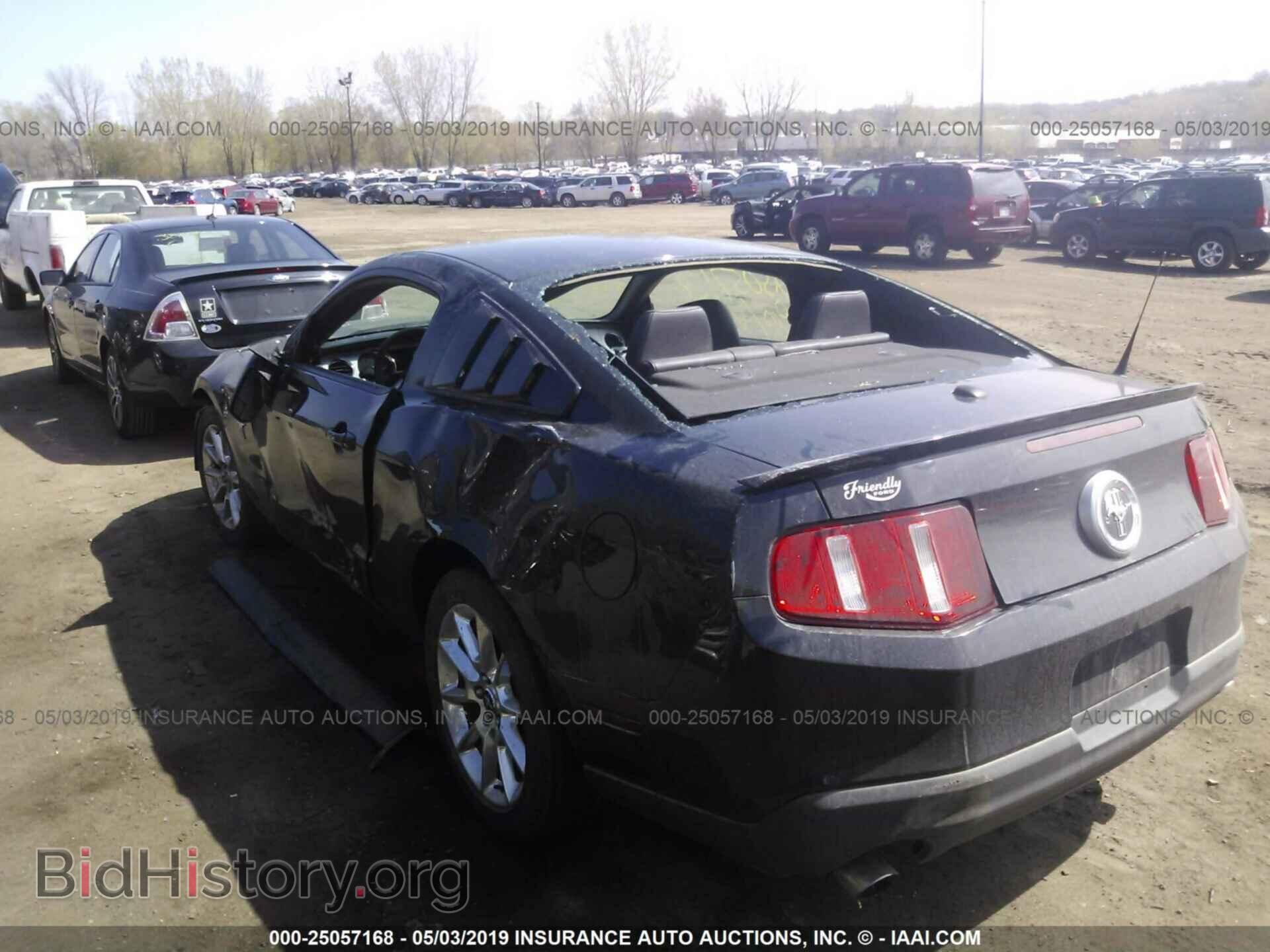 2011 FORD MUSTANG - VIN: 1ZVBP8AM6B5101910 - Фото 3