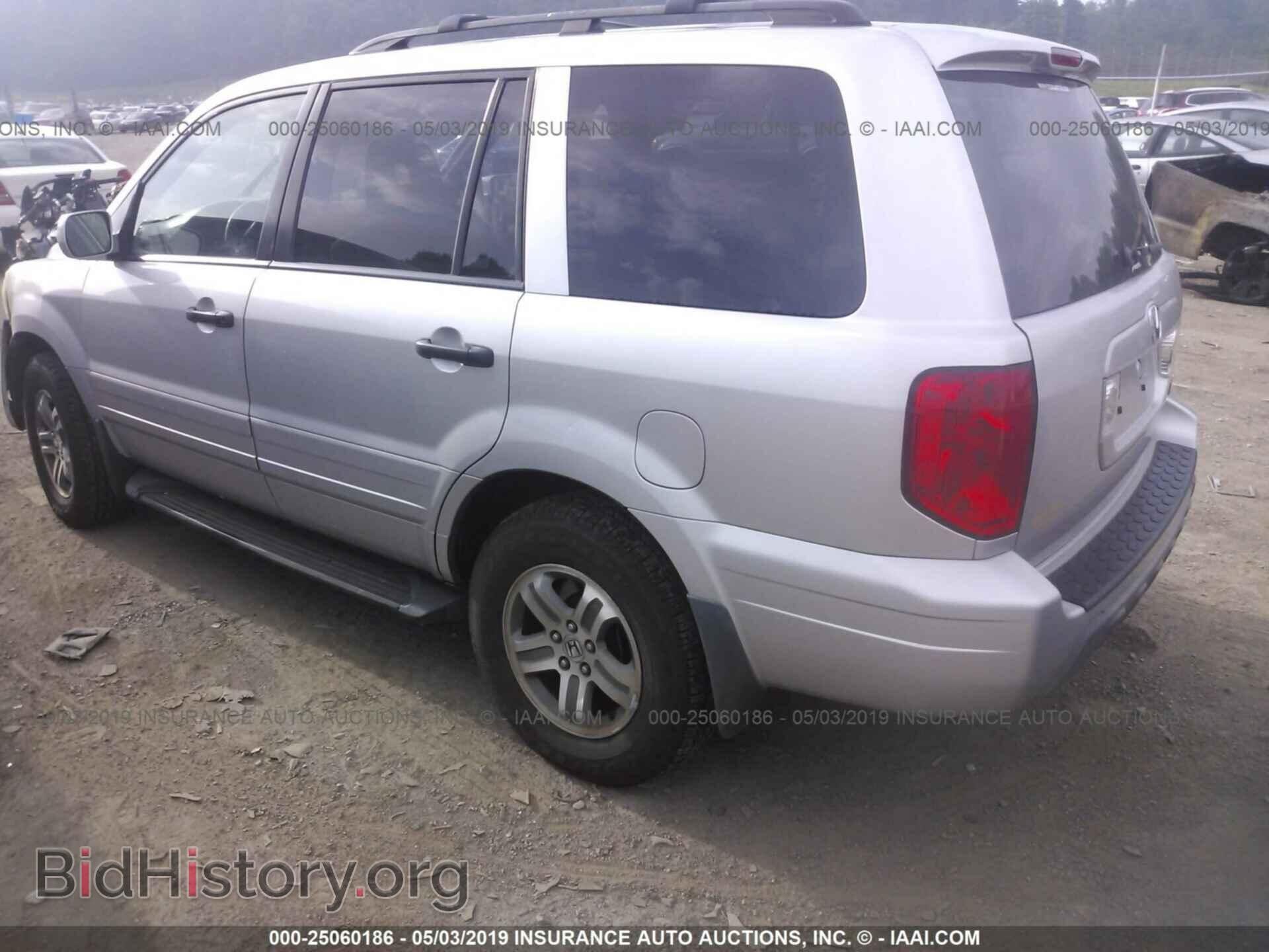 2005 HONDA PILOT - VIN: 5FNYF18625B034207 - Фото 3
