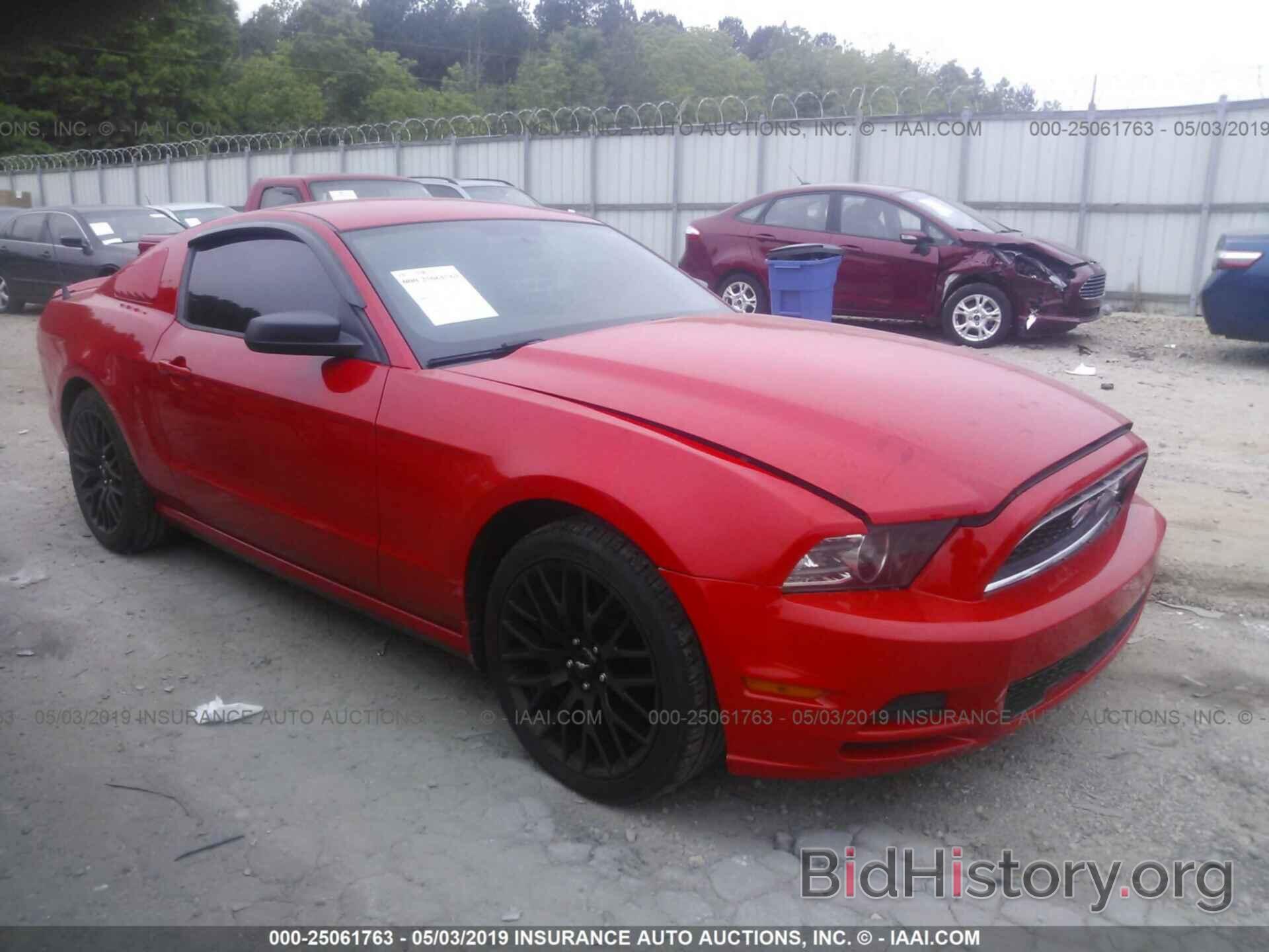Photo 1ZVBP8AM3D5237950 - FORD MUSTANG 2013