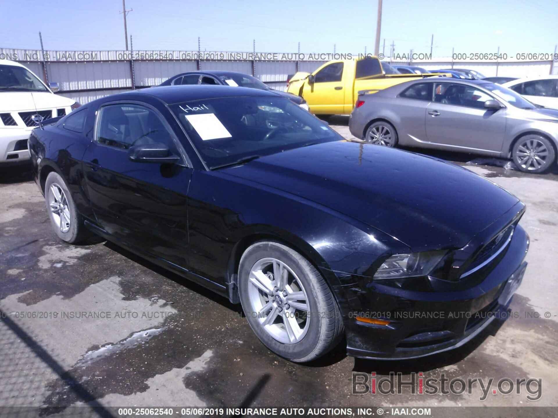Photo 1ZVBP8AM0D5241339 - FORD MUSTANG 2013