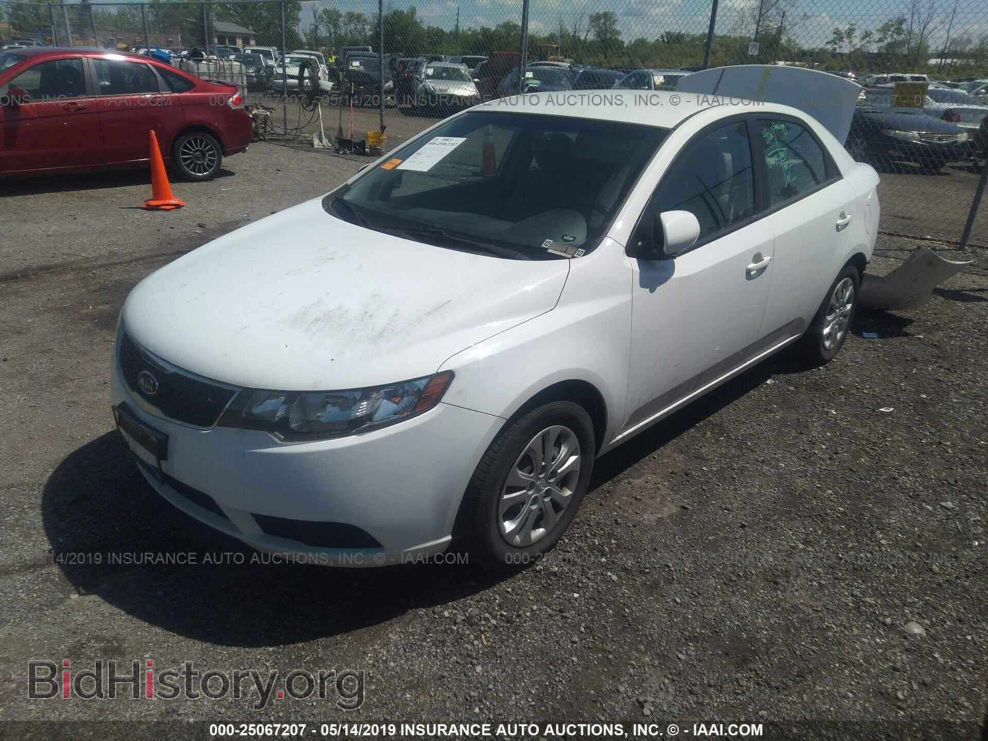 2012 KIA FORTE - VIN: KNAFT4A22C5510461 - Фото 2