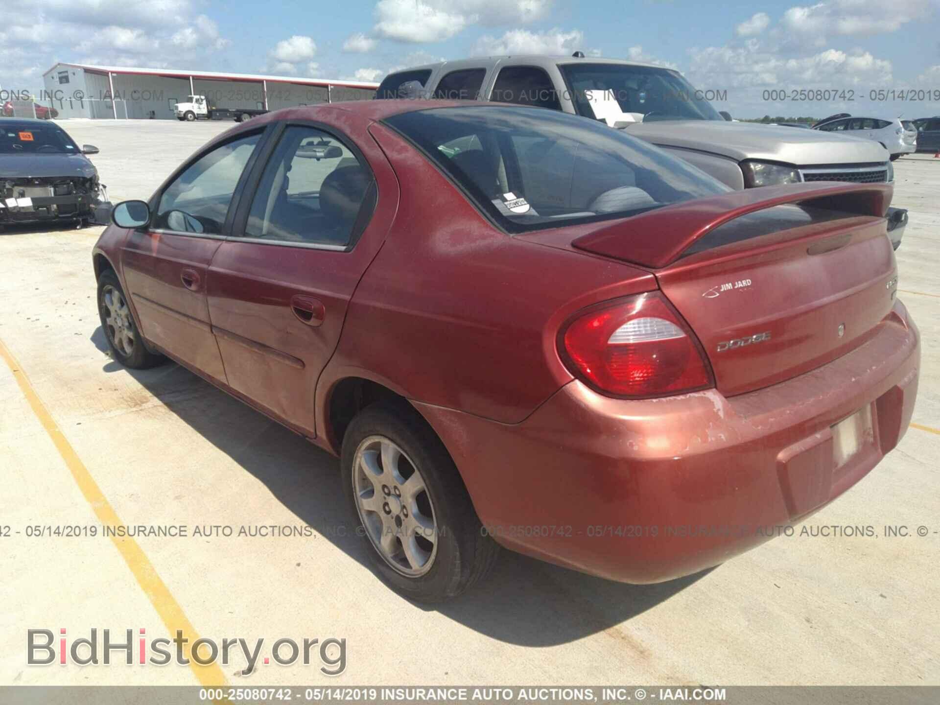 2005 DODGE NEON - VIN: 1B3ES56CX5D175856 - Фото 3