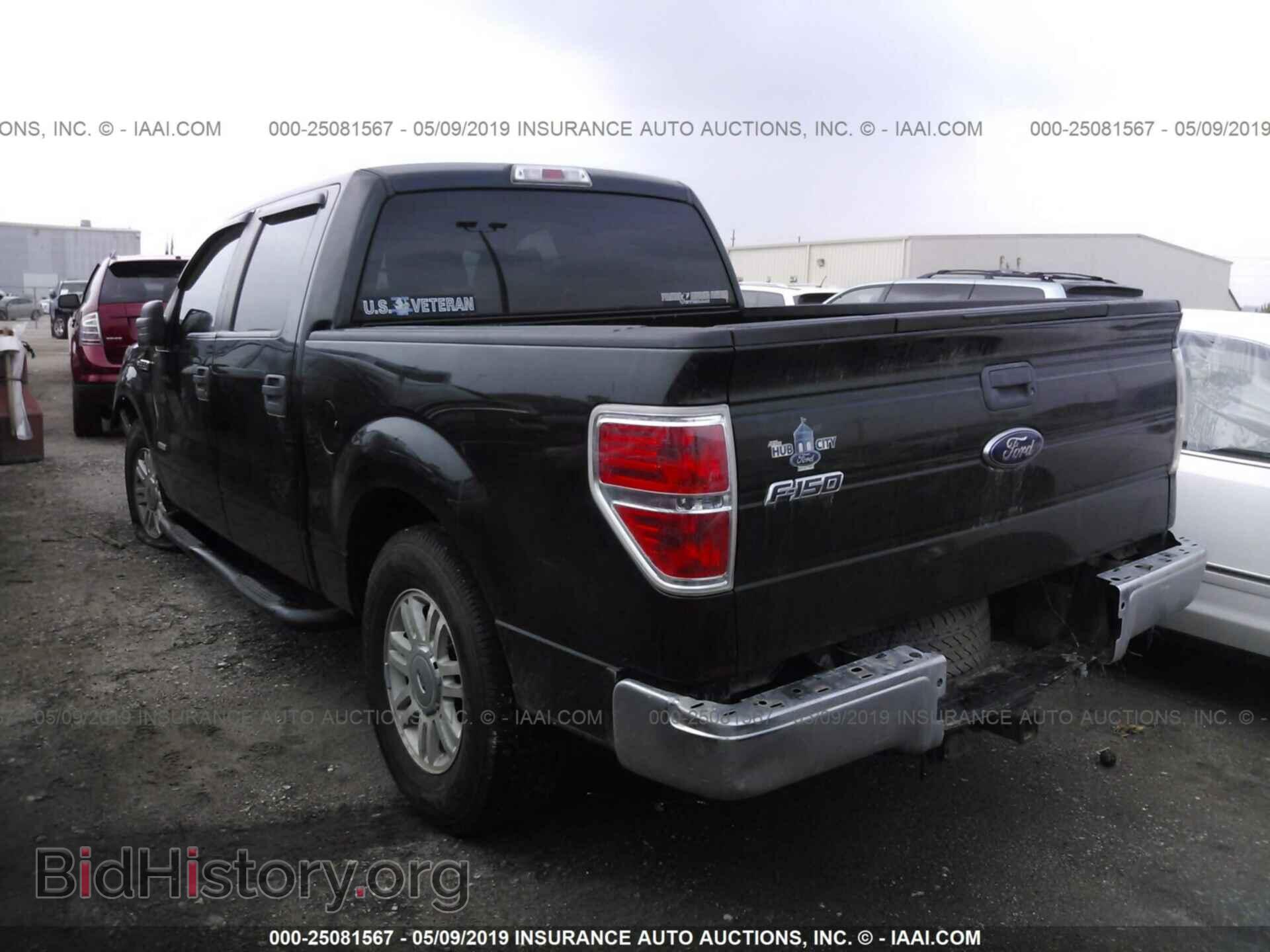 2013 FORD F150 - VIN: 1FTFW1CT5DFA10742 - Фото 3