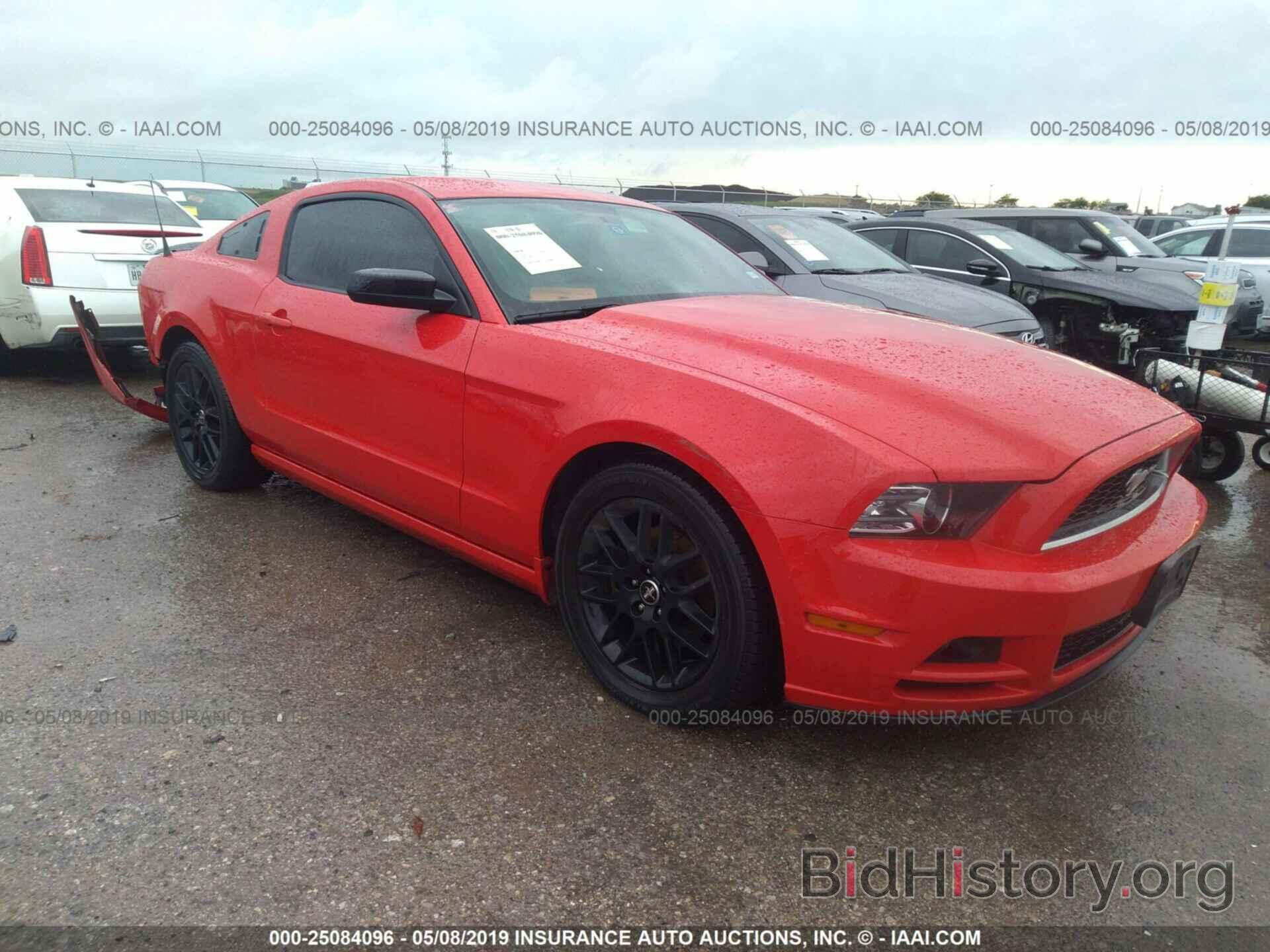 Photo 1ZVBP8AM1E5303932 - FORD MUSTANG 2014
