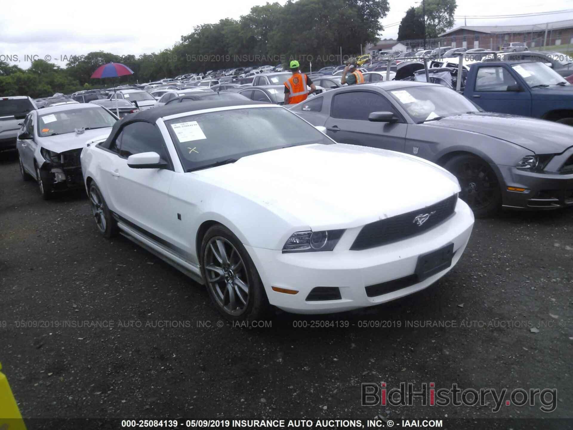 Photo 1ZVBP8EMXE5220509 - FORD MUSTANG 2014