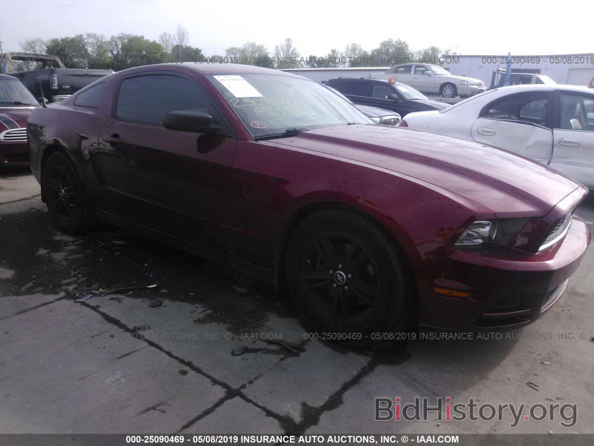 Photo 1ZVBP8AM5E5284592 - FORD MUSTANG 2014