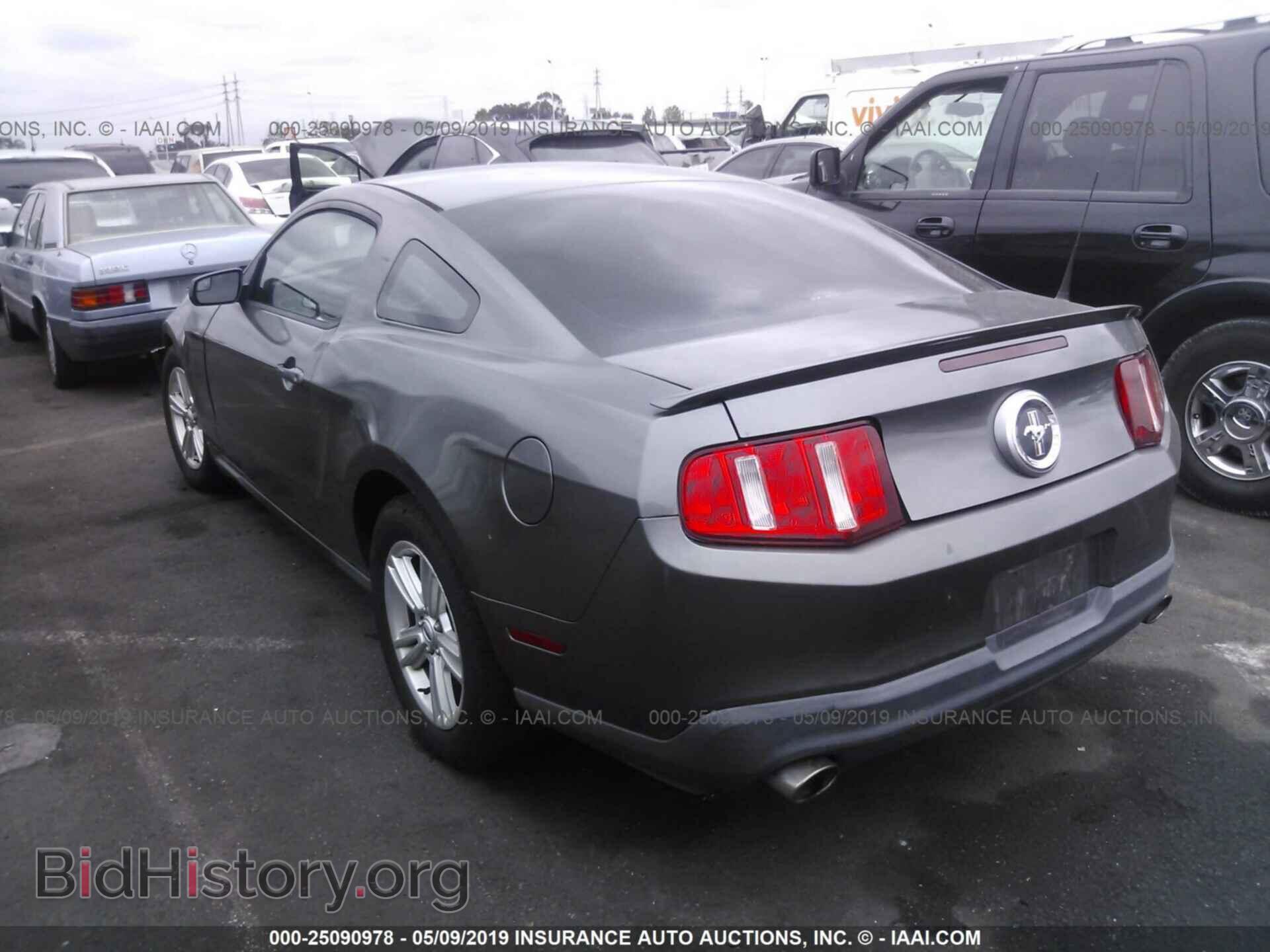 2011 FORD MUSTANG - VIN: 1ZVBP8AM1B5136936 - Фото 3