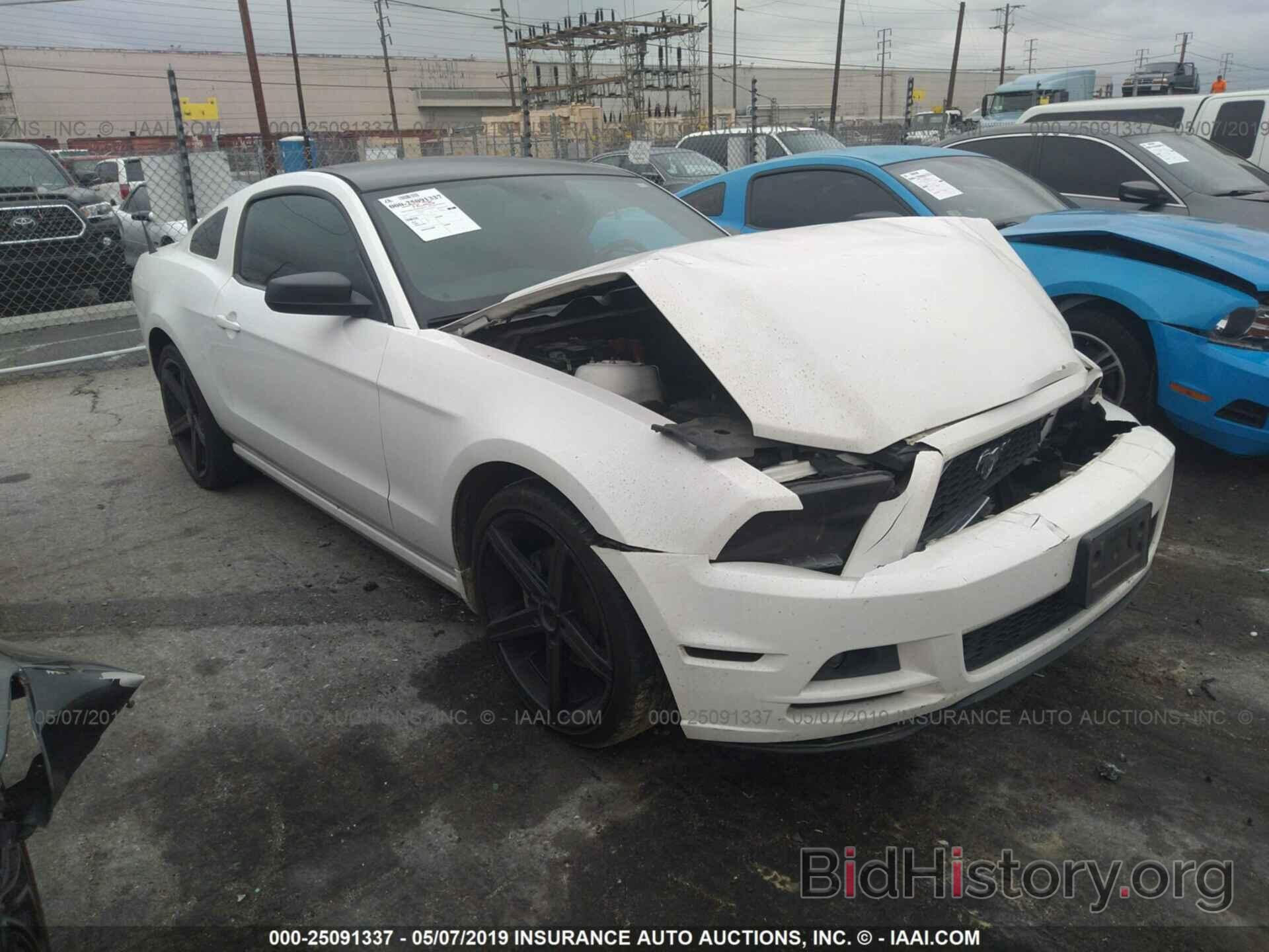 Photo 1ZVBP8AM5D5255270 - FORD MUSTANG 2013
