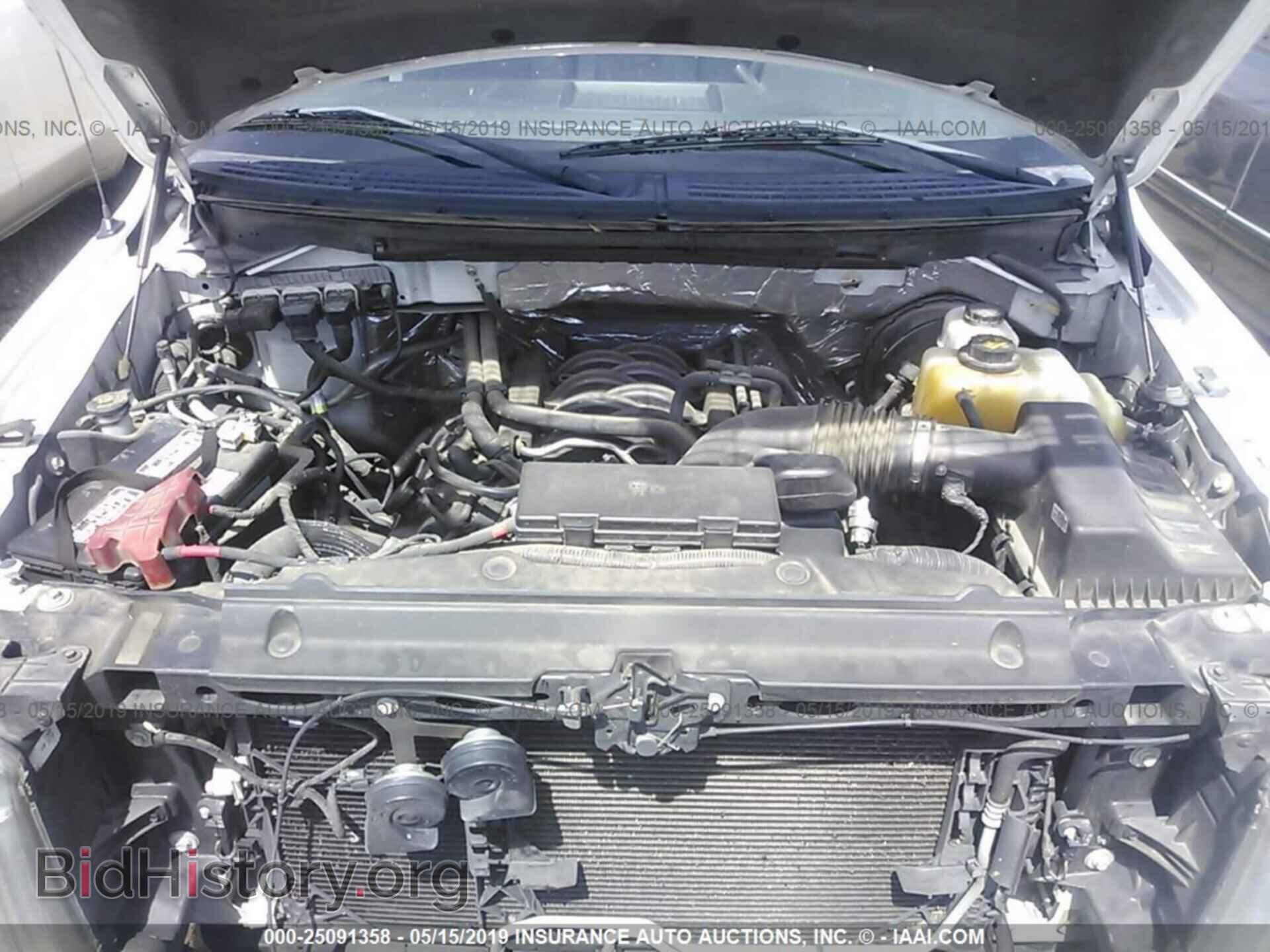 2013 FORD F150 - VIN: 1FTNF1CF0DKF01331 - Photo 10