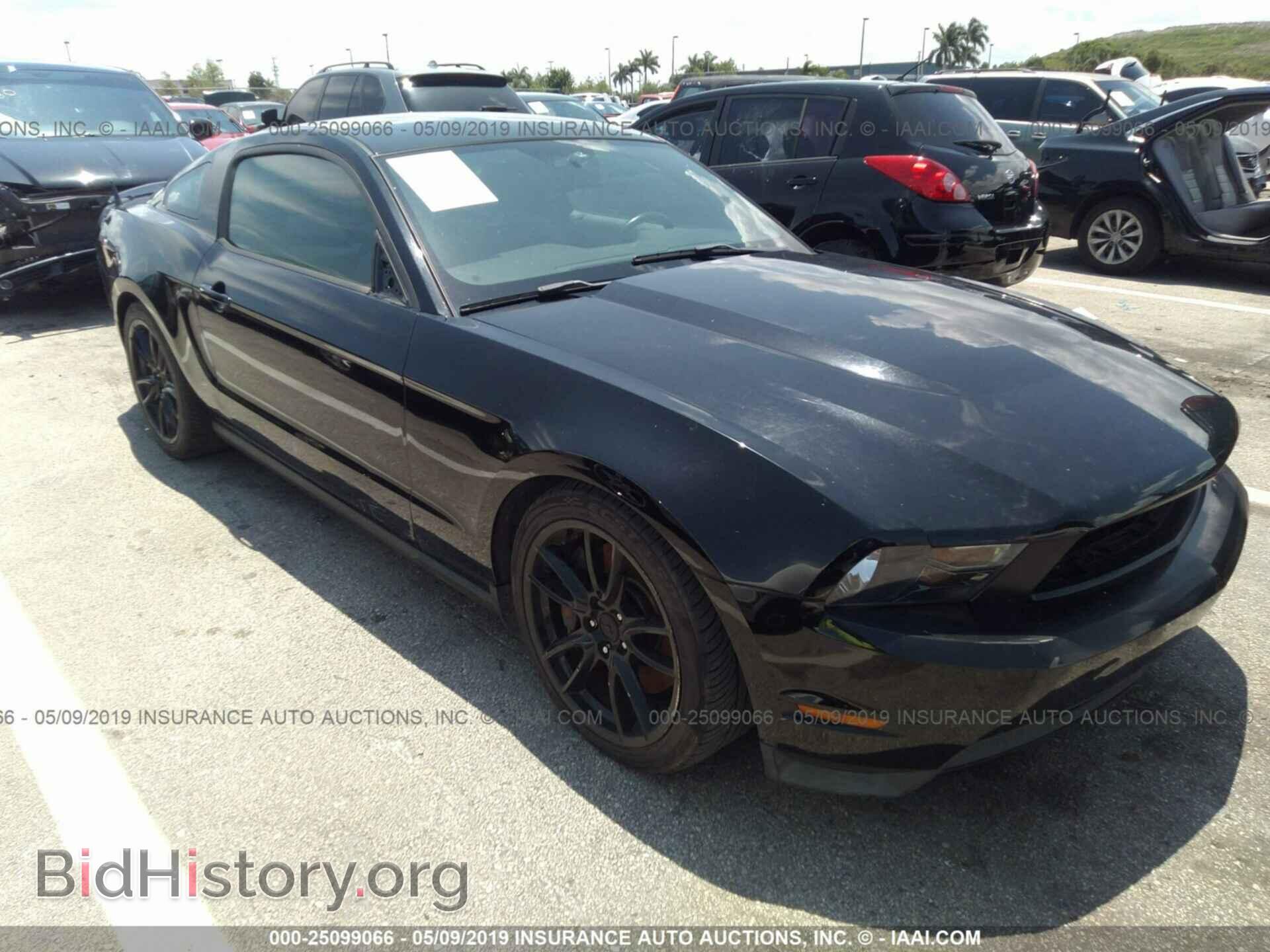 Фотография 1ZVBP8CF9C5202598 - FORD MUSTANG 2012
