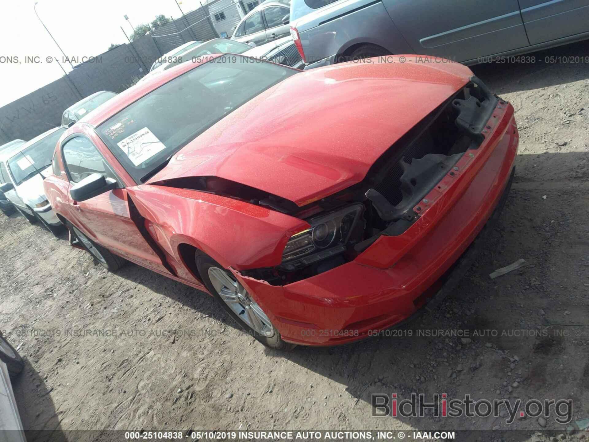 Photo 1ZVBP8AM2D5232576 - FORD MUSTANG 2013