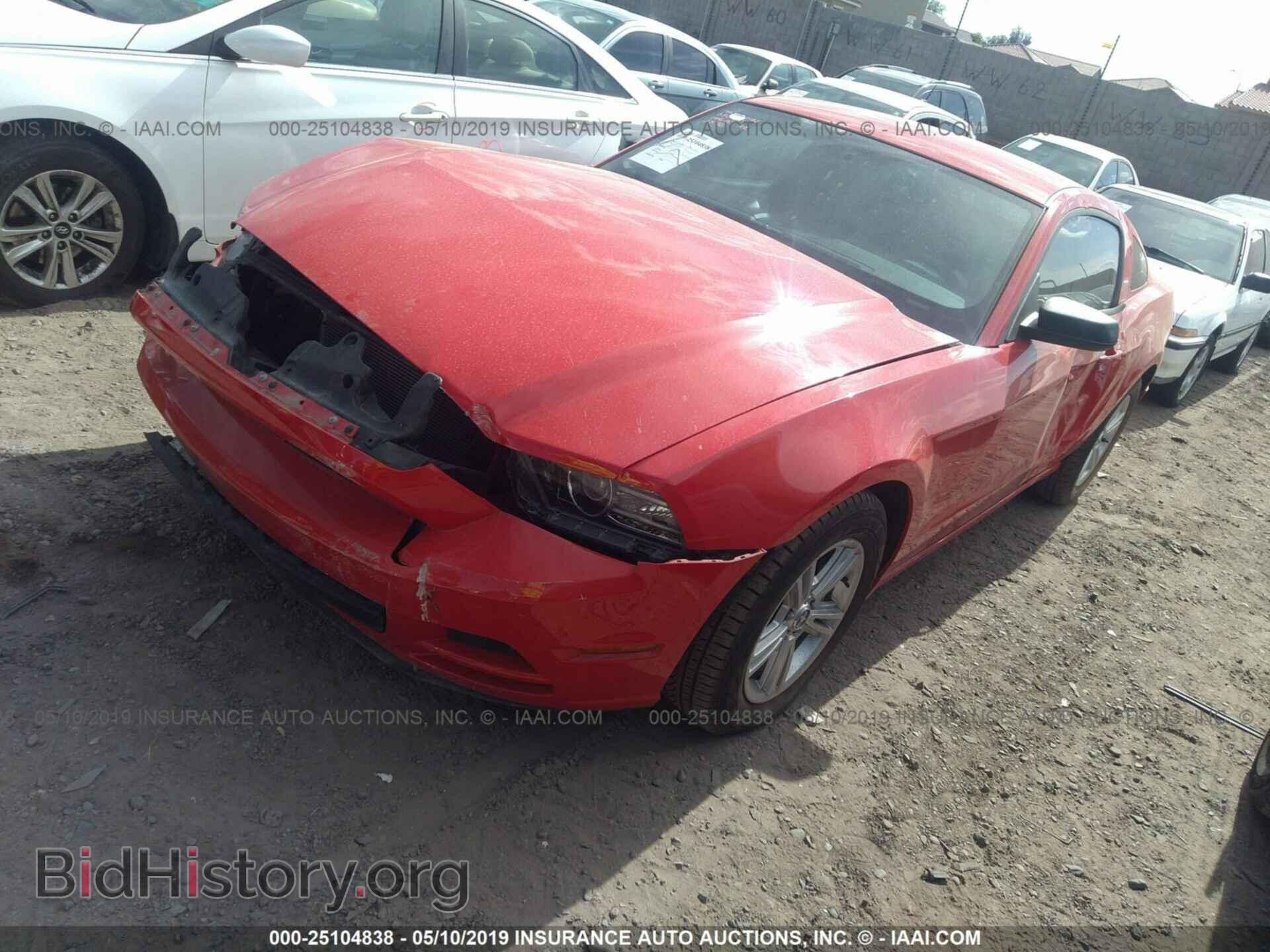 2013 FORD MUSTANG - VIN: 1ZVBP8AM2D5232576 - Фото 2