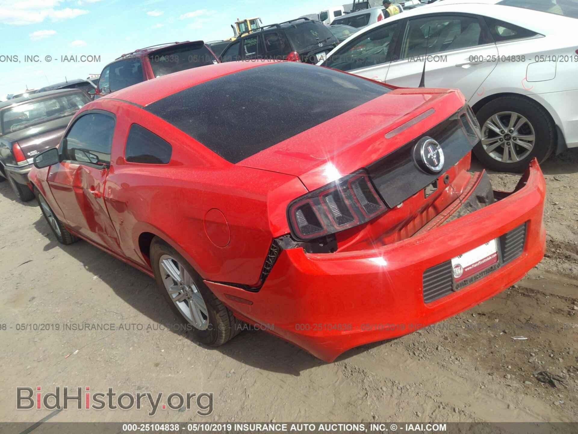 2013 FORD MUSTANG - VIN: 1ZVBP8AM2D5232576 - Фото 3