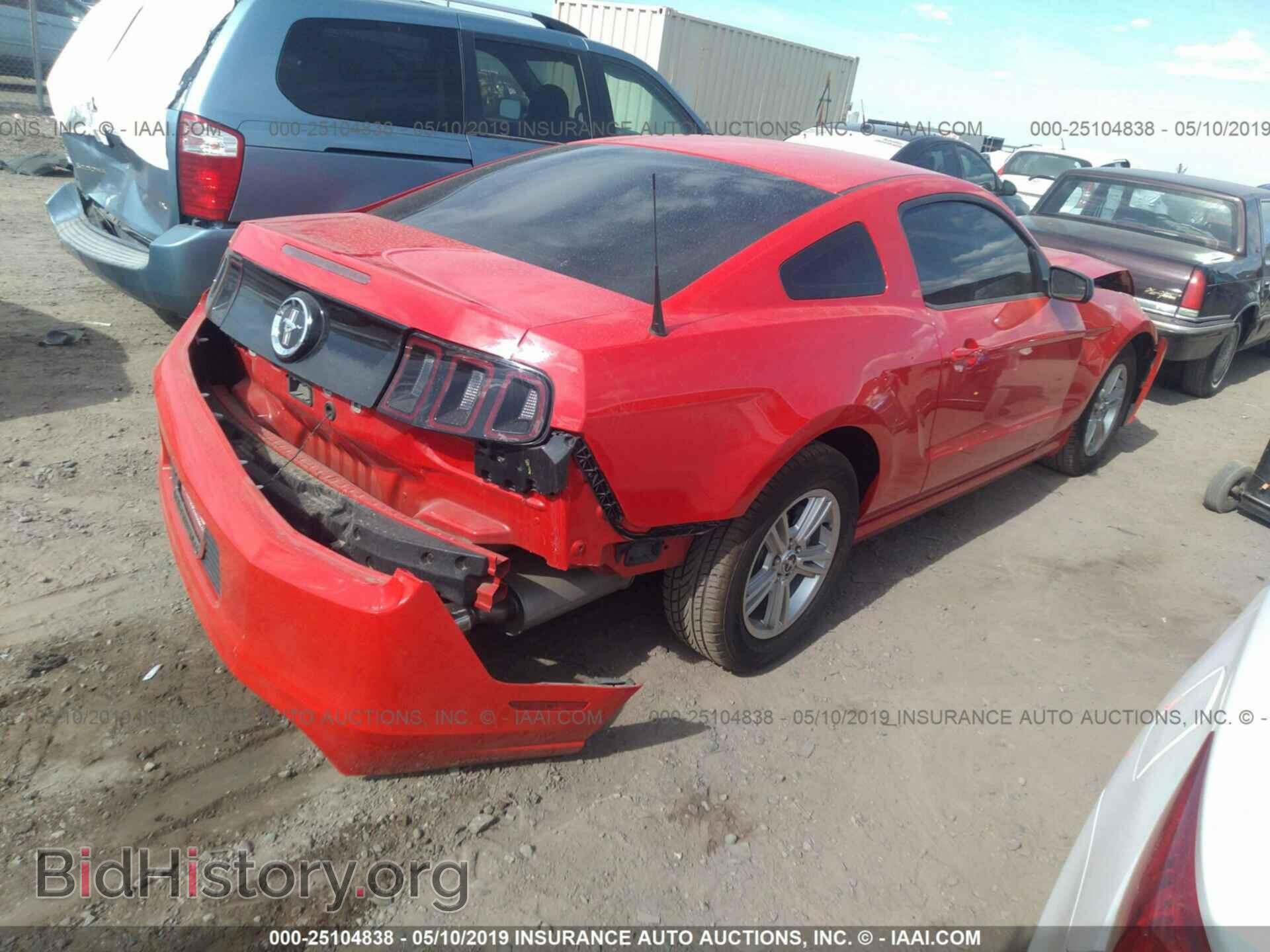 2013 FORD MUSTANG - VIN: 1ZVBP8AM2D5232576 - Фото 4