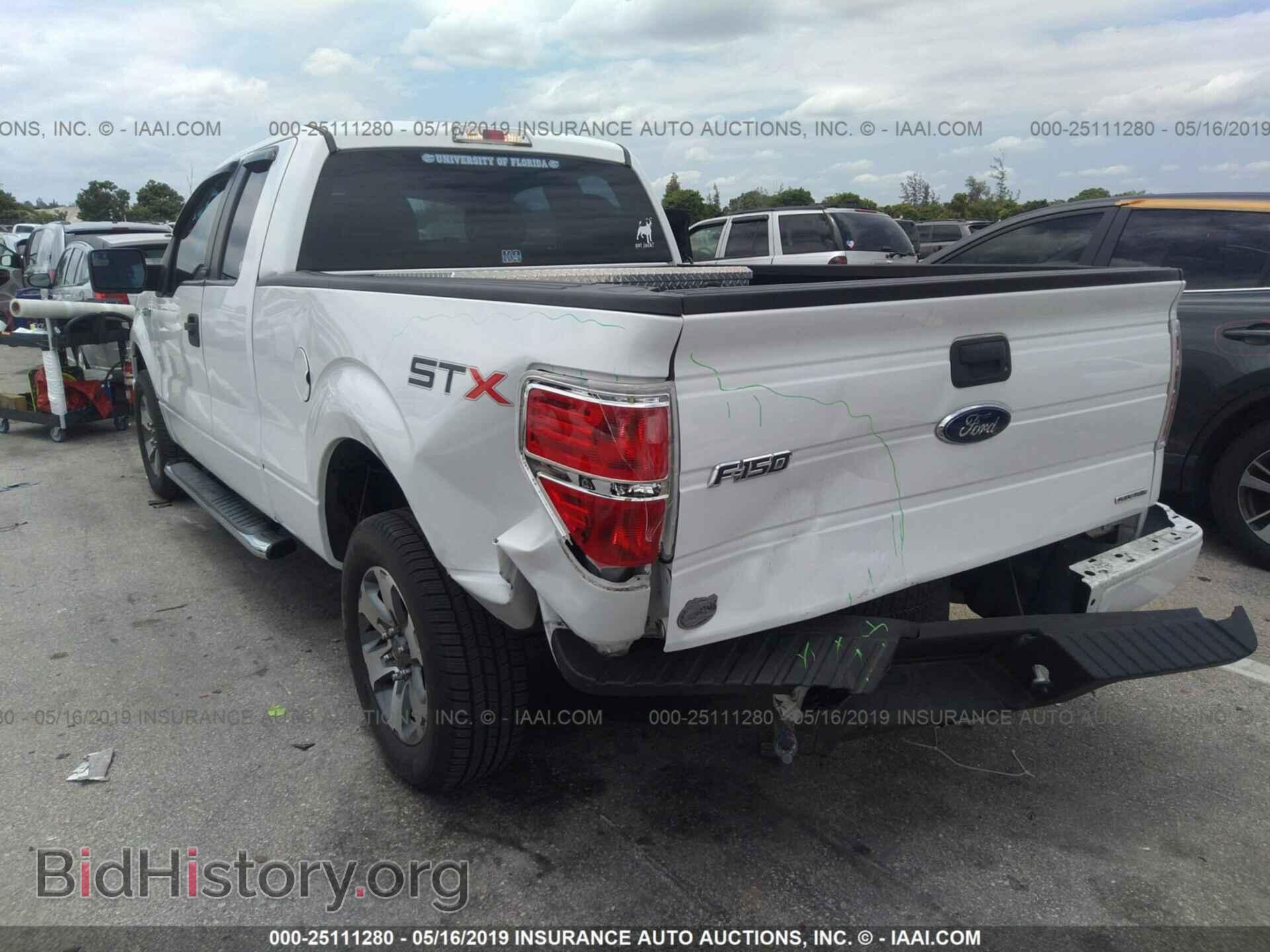 2013 FORD F150 - VIN: 1FTFX1CF6DFC69599 - Фото 6