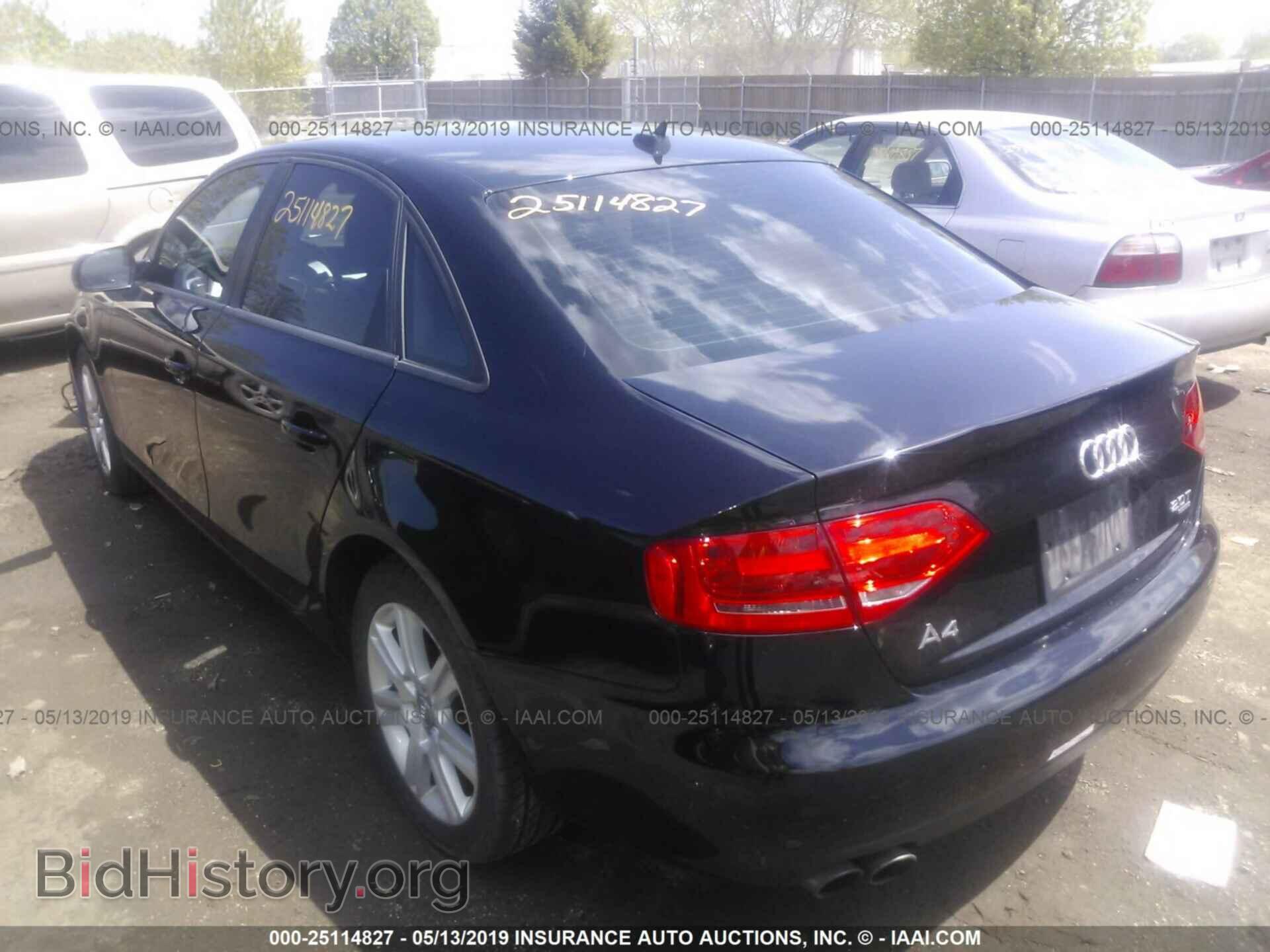 2011 AUDI A4 - VIN: WAUBFAFL7BN040223 - Фото 3