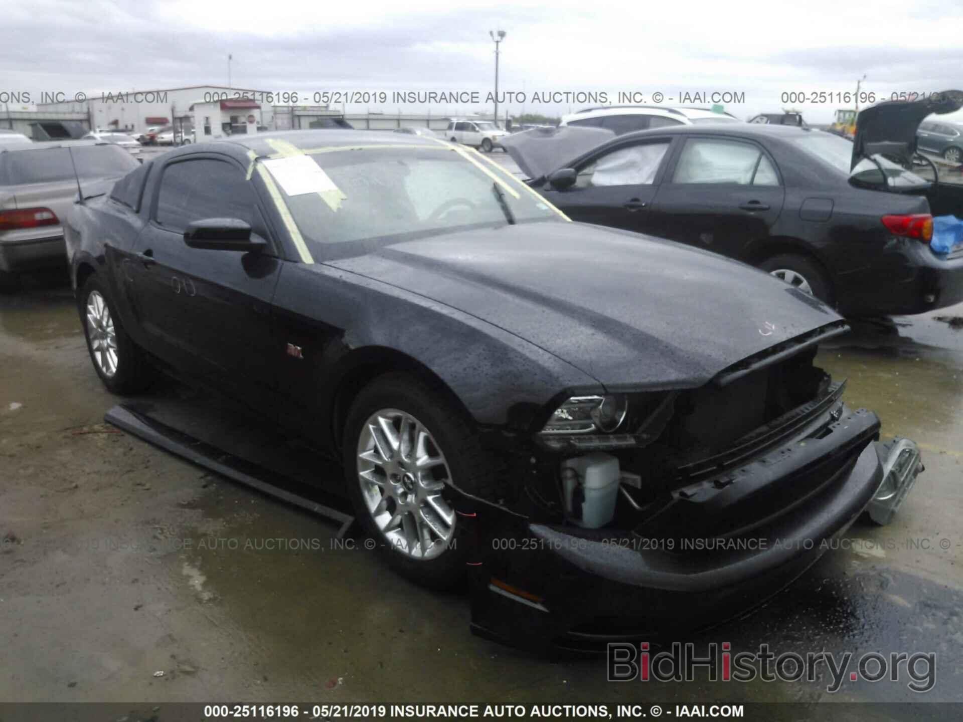 Photo 1ZVBP8AM0E5202901 - FORD MUSTANG 2014