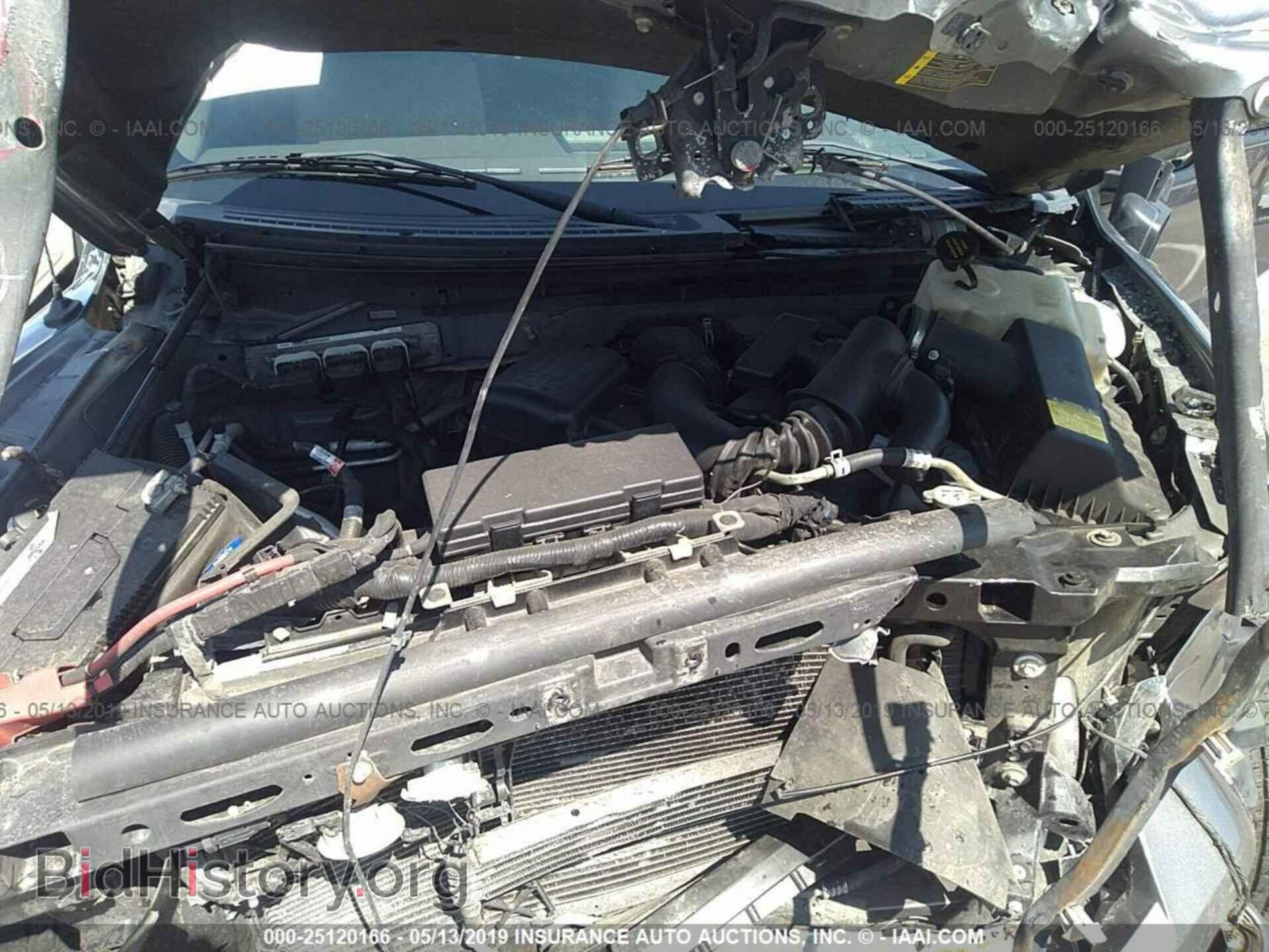 2010 FORD F150 - VIN: 1FTFX1EV8AFC18394 - Фото 10