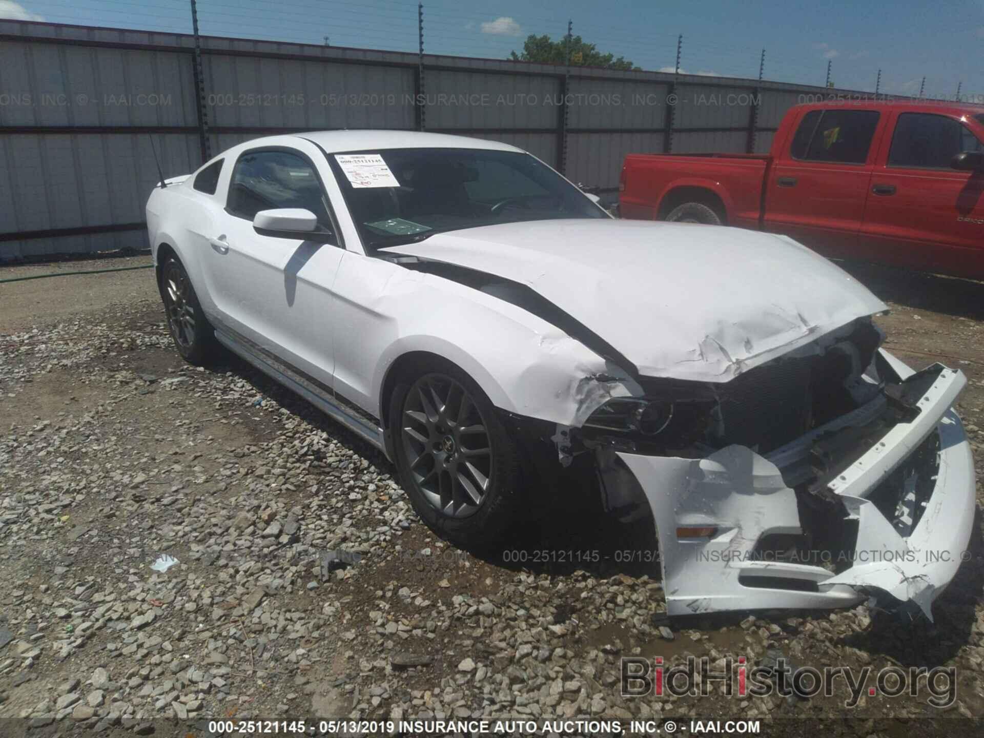 Photo 1ZVBP8AMXE5324780 - FORD MUSTANG 2014