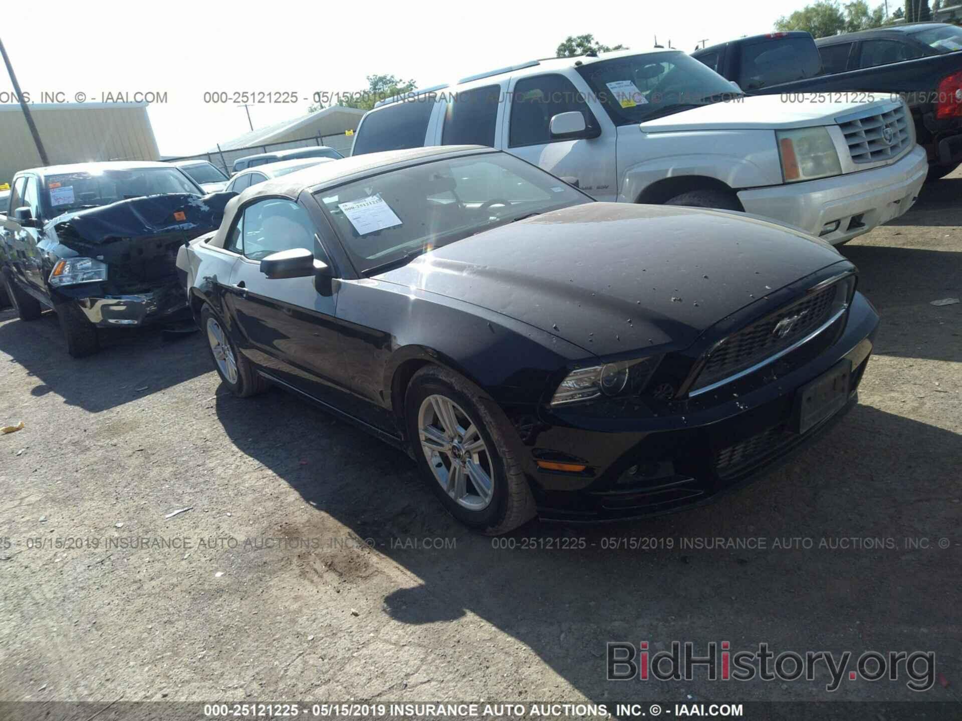 Photo 1ZVBP8EMXE5322781 - FORD MUSTANG 2014