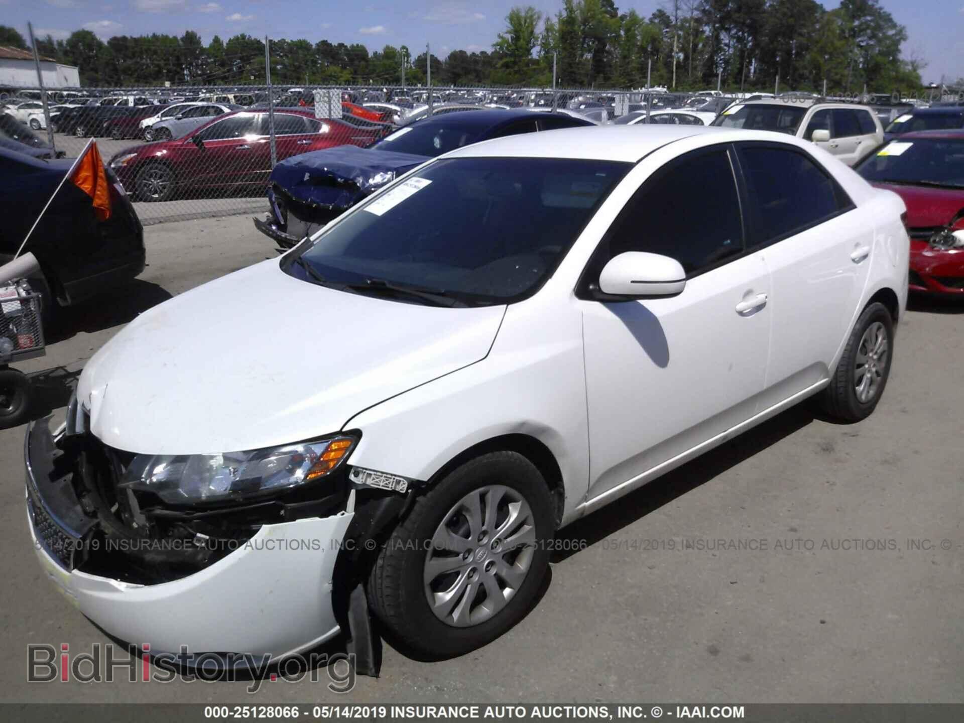 2011 KIA FORTE - VIN: KNAFU4A25B5381952 - Фото 2