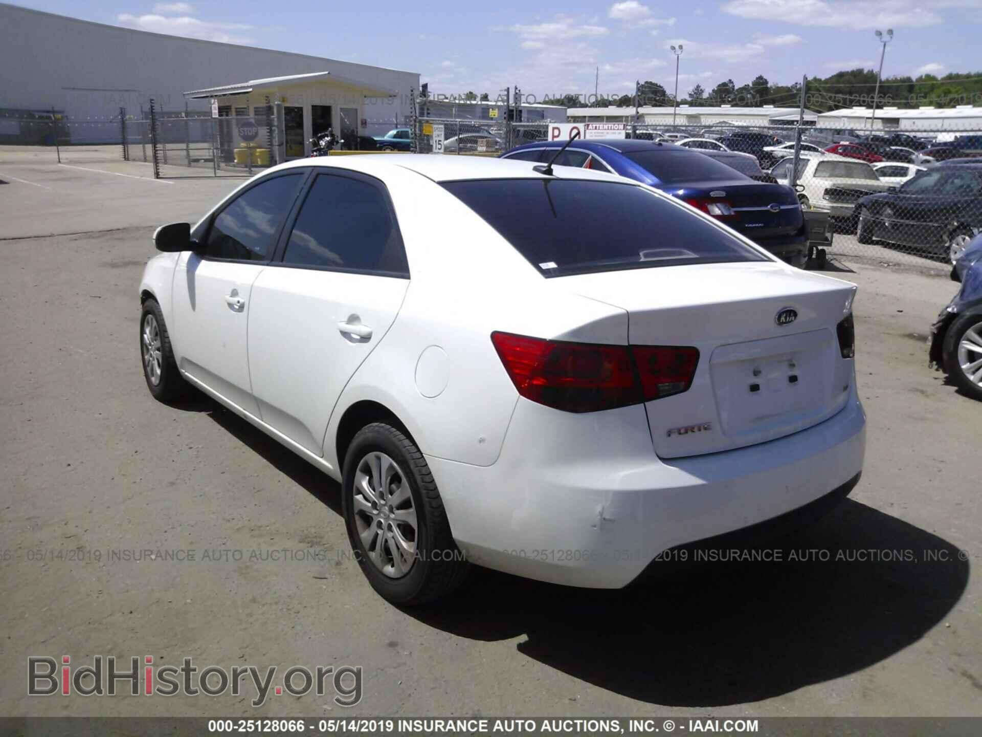 2011 KIA FORTE - VIN: KNAFU4A25B5381952 - Фото 3