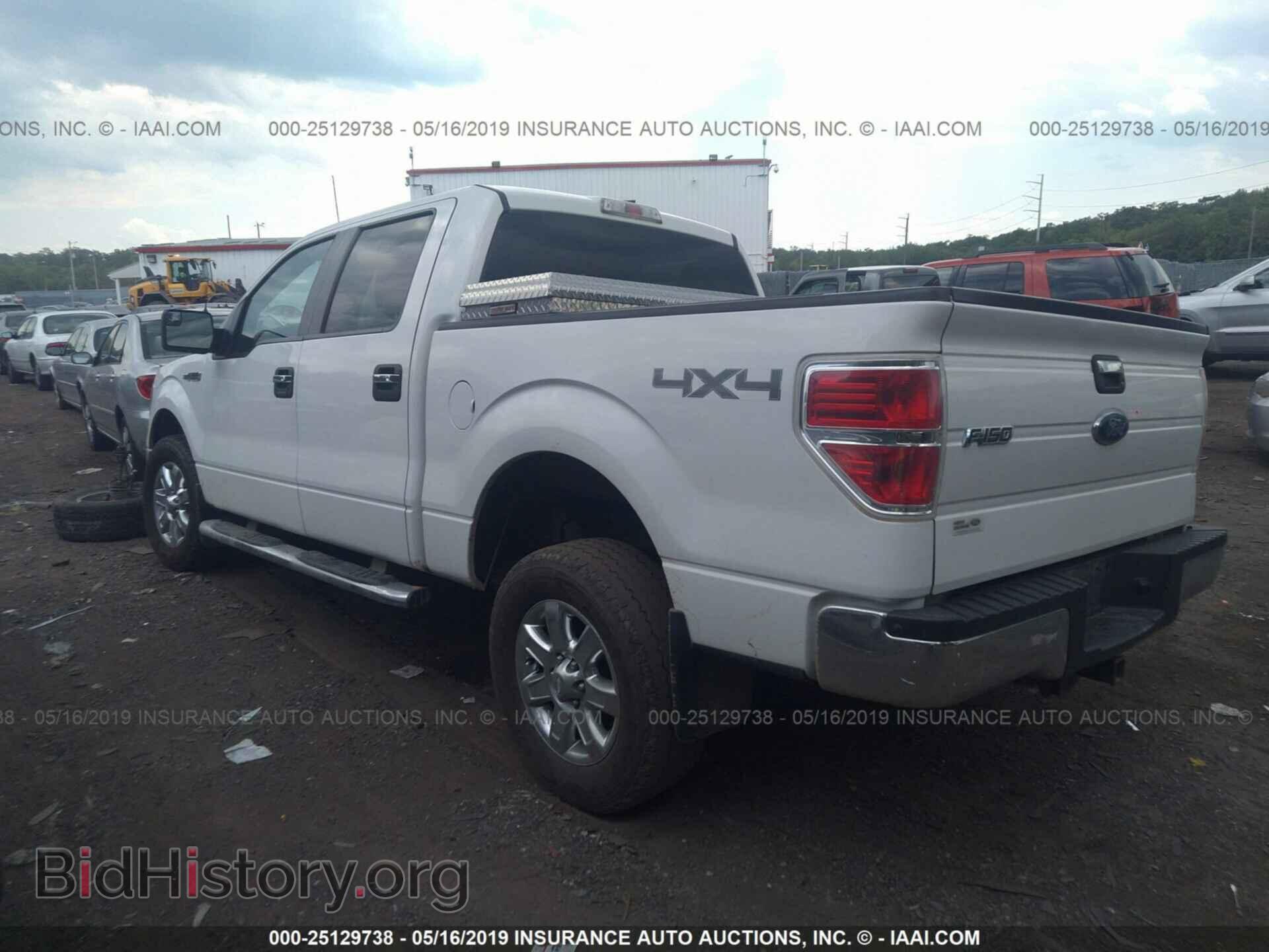2013 FORD F150 - VIN: 1FTFW1ET6DKD65584 - Фото 3
