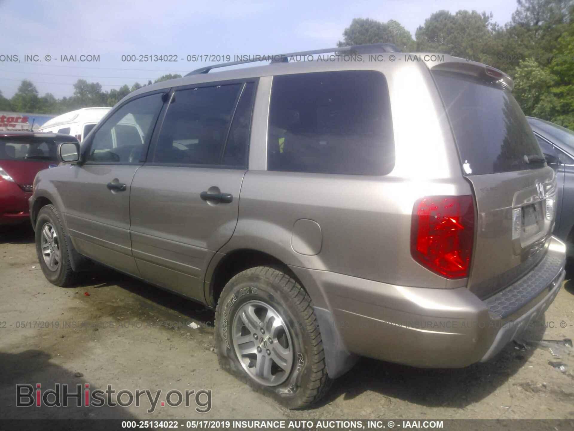 2005 HONDA PILOT - VIN: 5FNYF18445B065229 - Фото 3