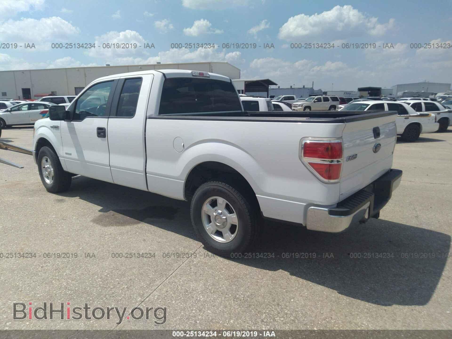 2013 FORD F150 - VIN: 1FTFX1CT2DFD56289 - Фото 3